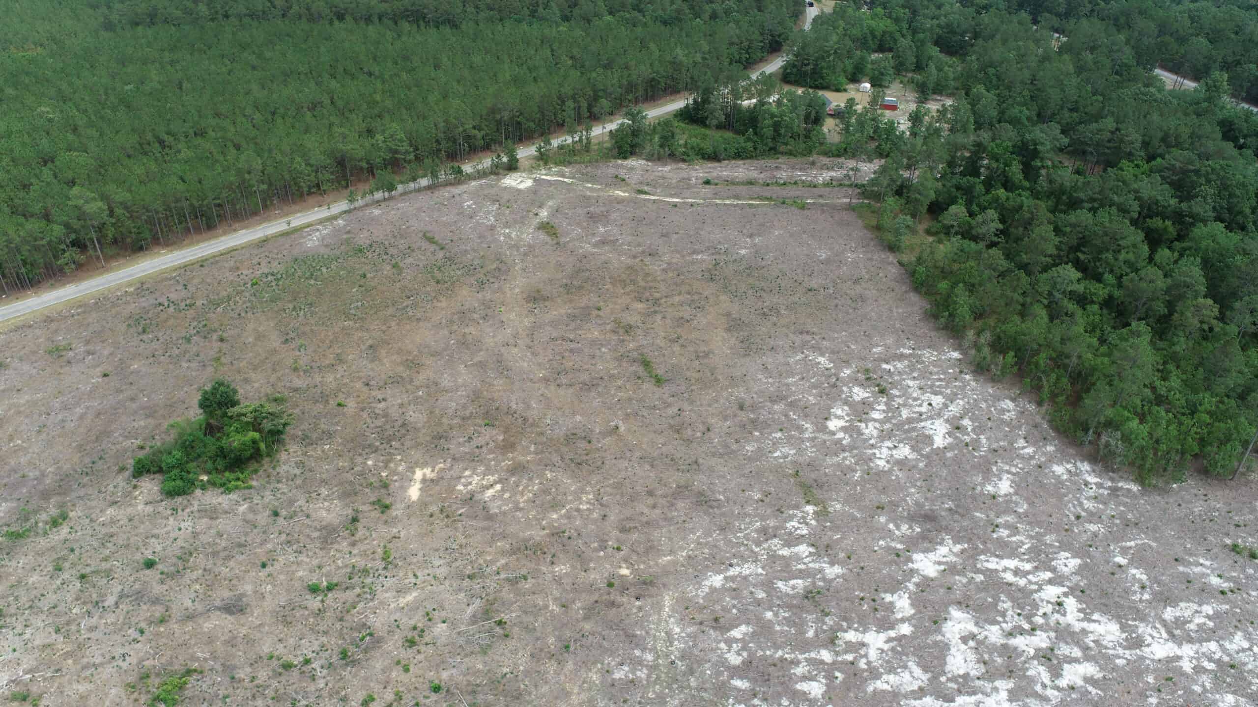 161 +/- Acres in Kershaw County, SC