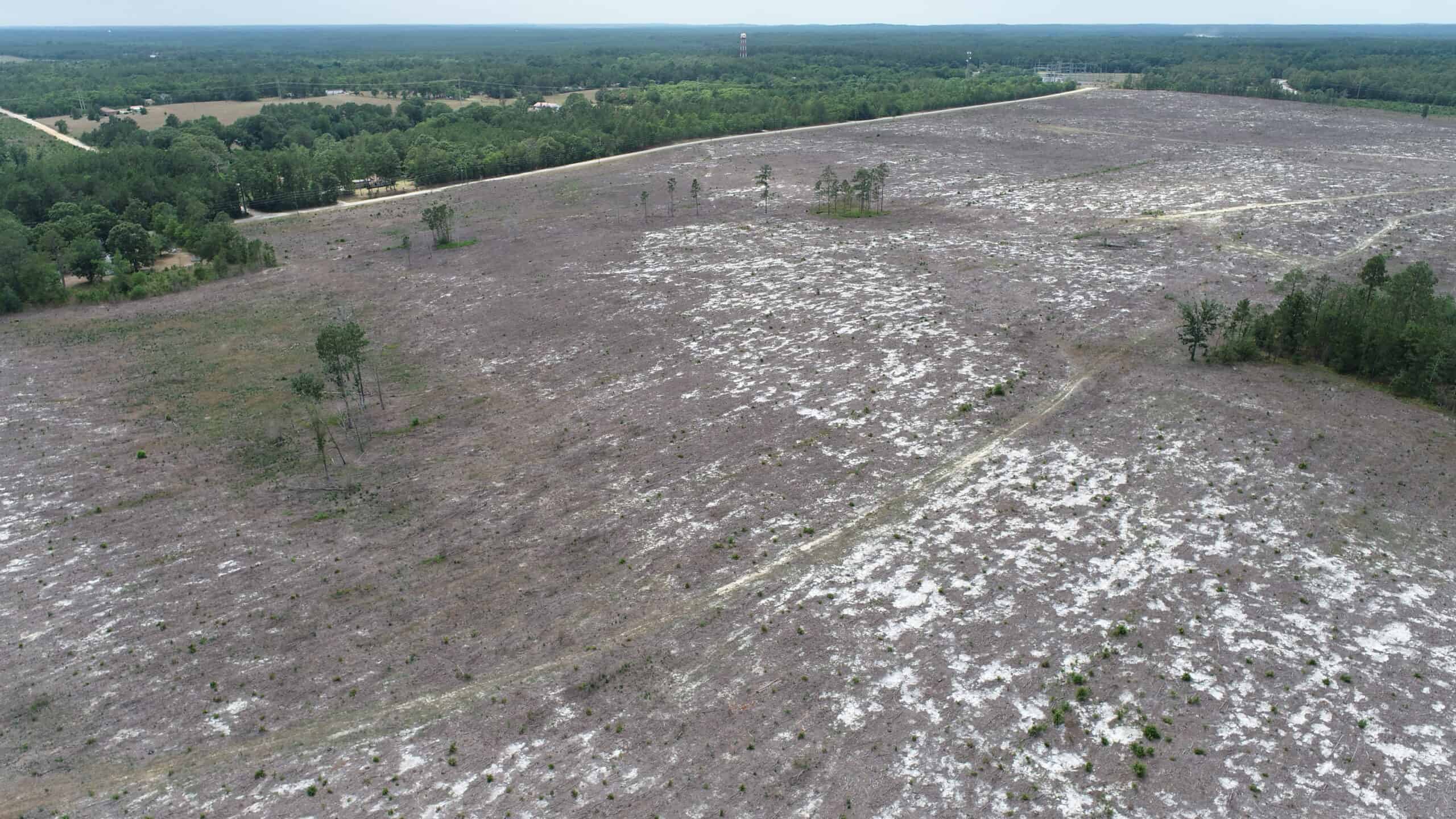 161 +/- Acres in Kershaw County, SC