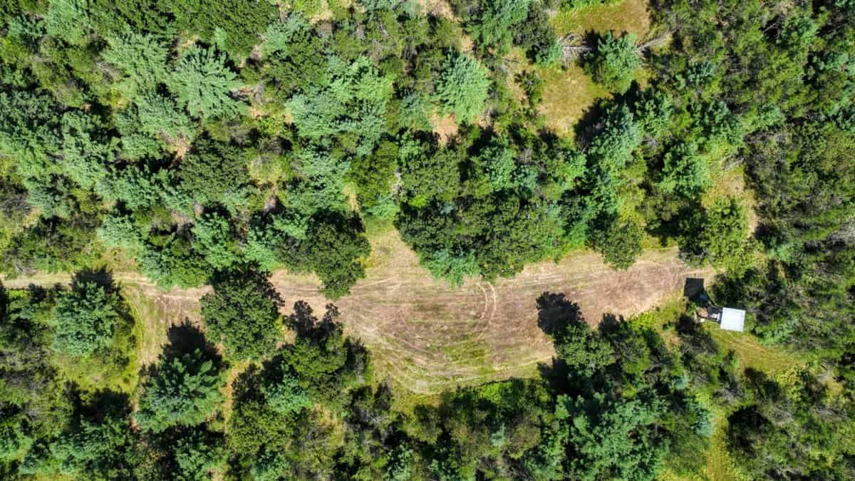 4-Bedroom Home Tucked Away in the Pines