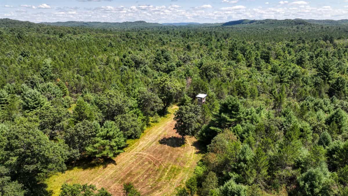 4-Bedroom Home Tucked Away in the Pines