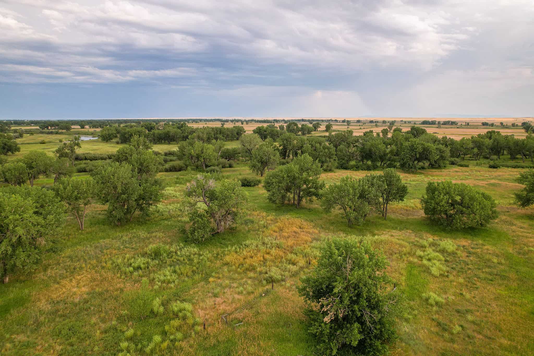 Milk River Treasure Ranch Dryland Farm Hay Production