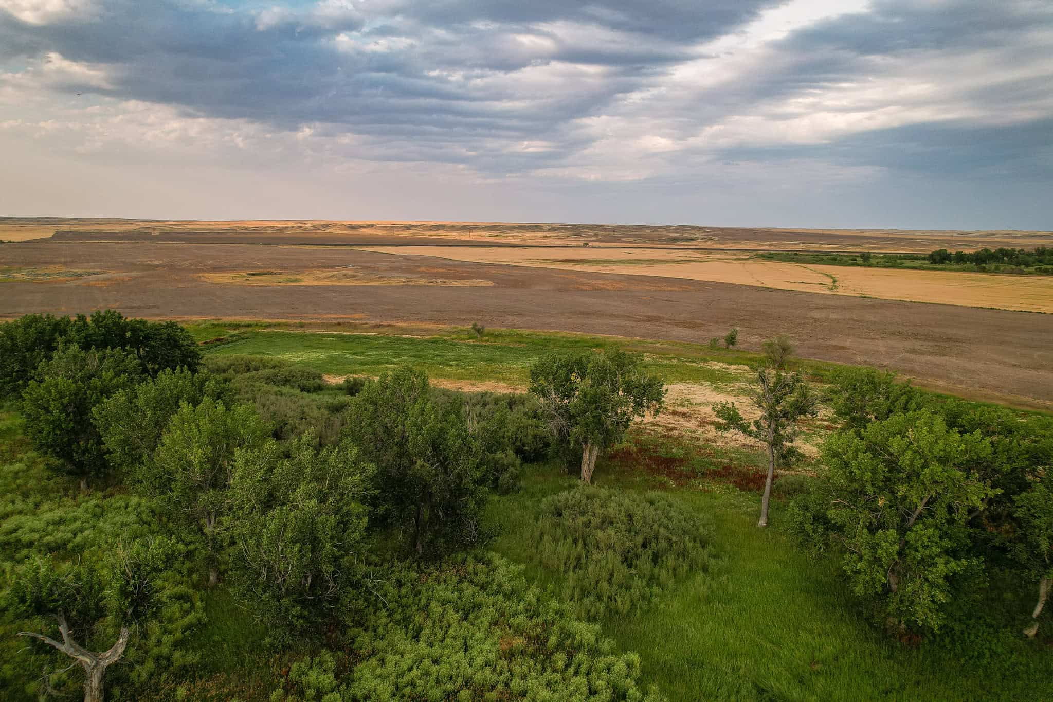 Milk River Treasure Ranch Dryland Farm Hay Production