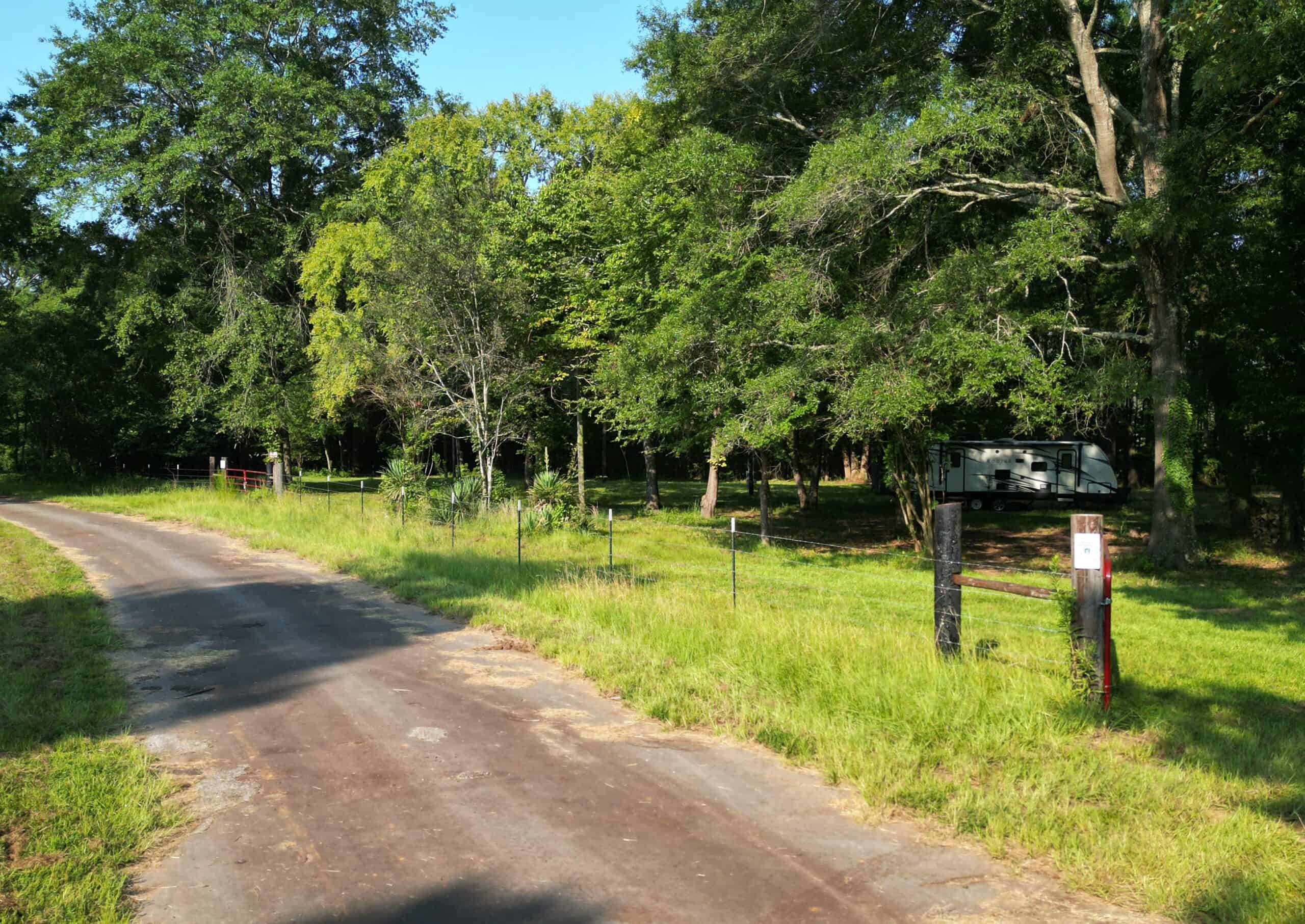 EAST TEXAS TIMBER/HUNTING/RECREATIONAL LAND FOR SALE