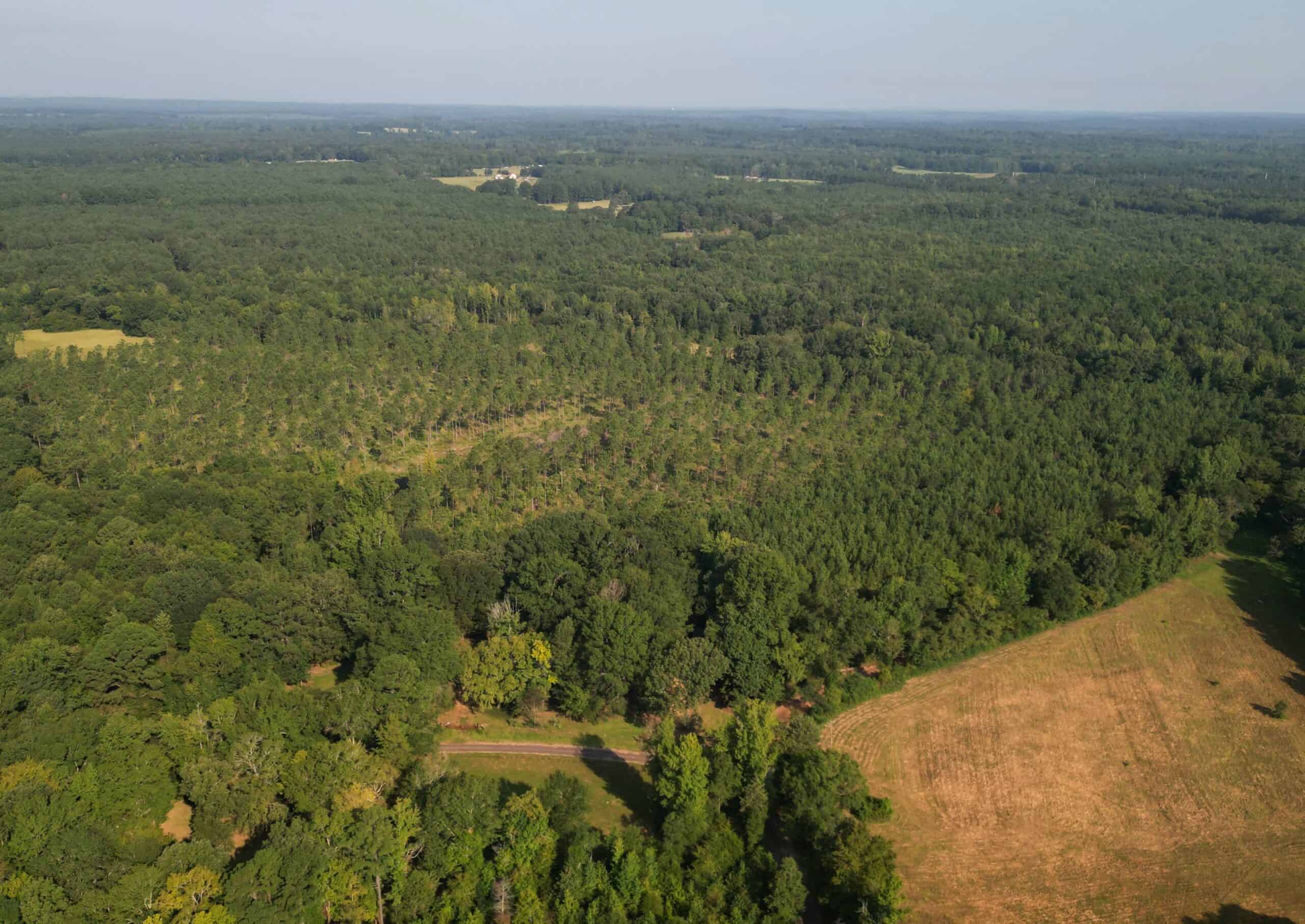 EAST TEXAS TIMBER/HUNTING/RECREATIONAL LAND FOR SALE