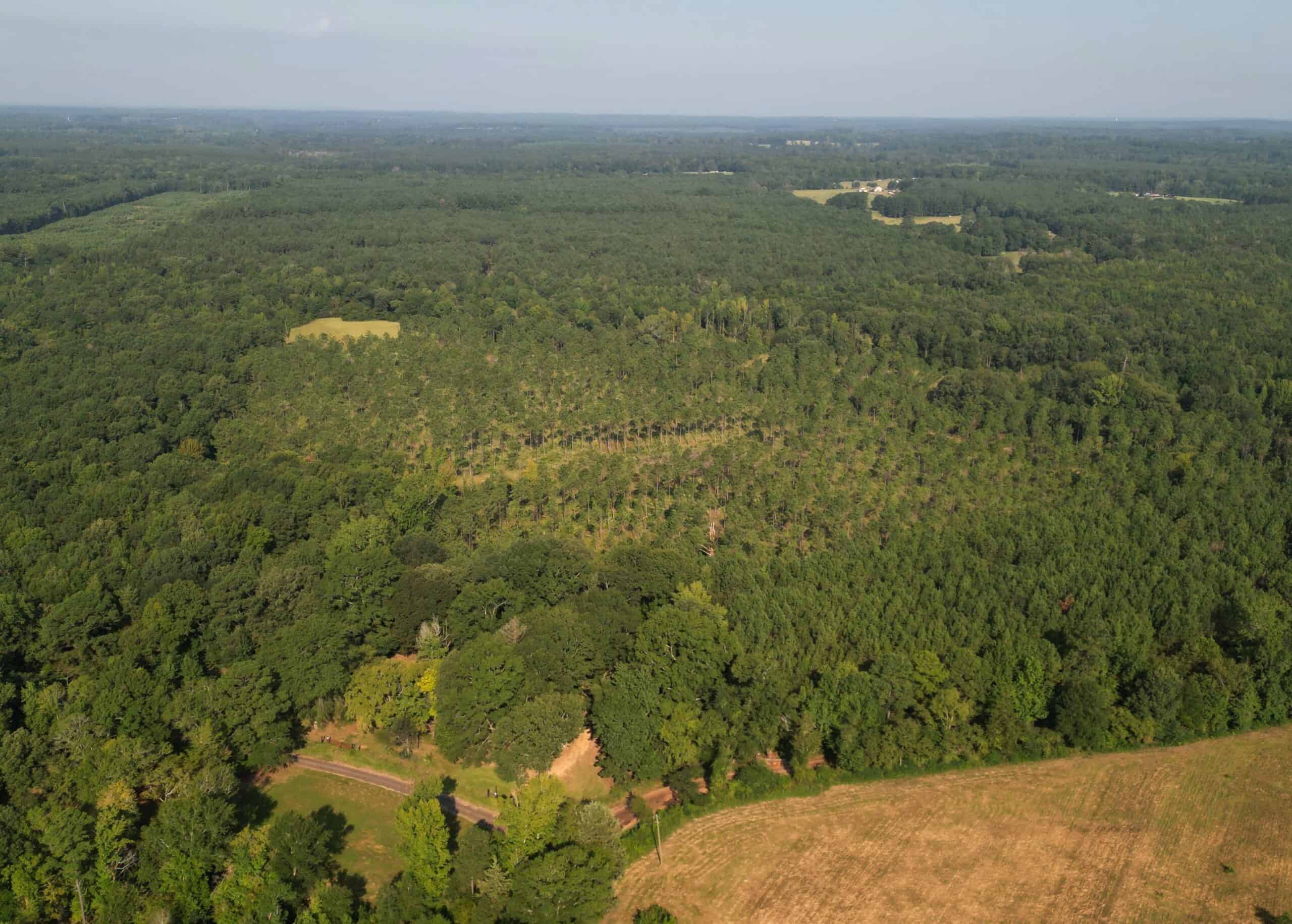 EAST TEXAS TIMBER/HUNTING/RECREATIONAL LAND FOR SALE