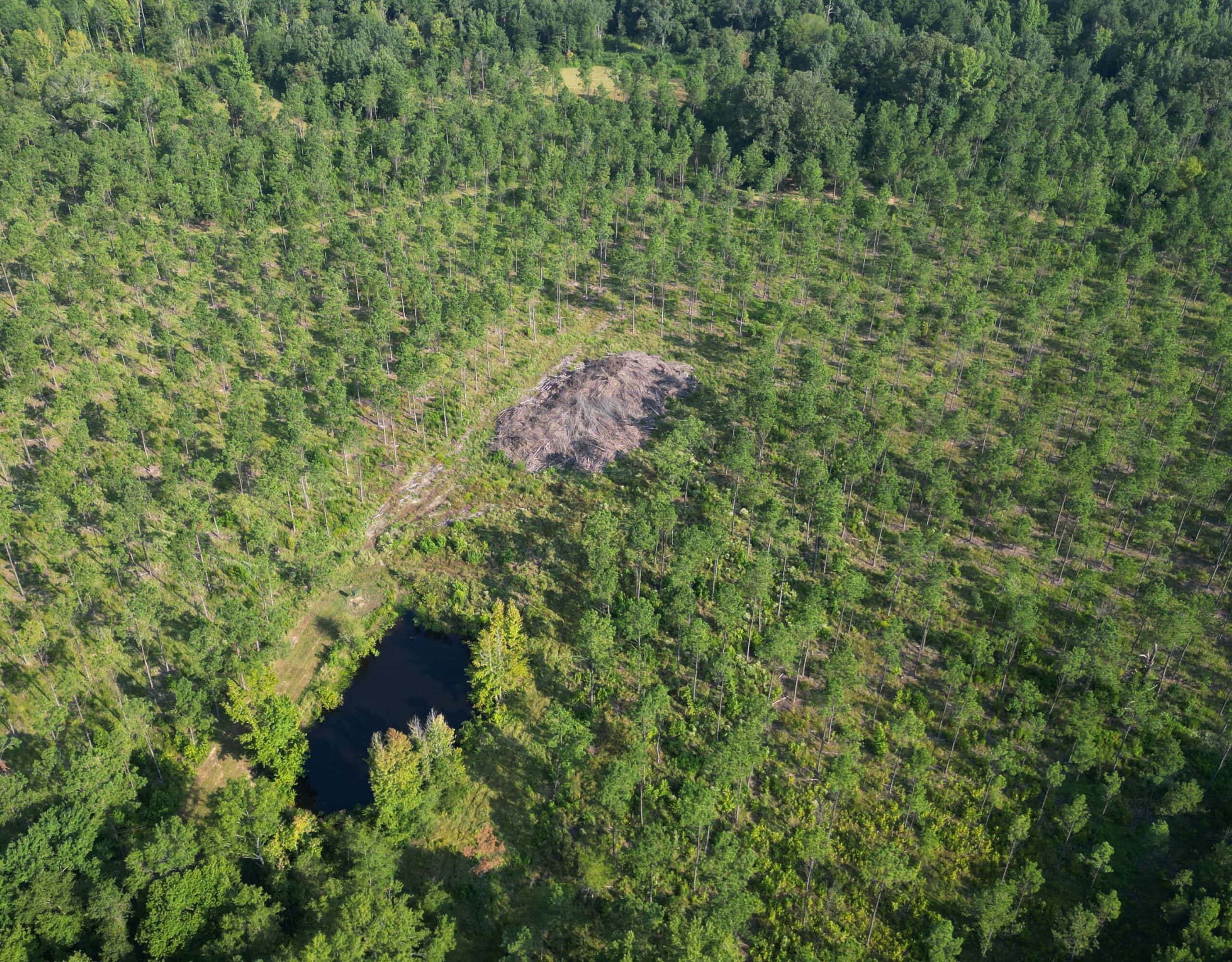 EAST TEXAS TIMBER/HUNTING/RECREATIONAL LAND FOR SALE