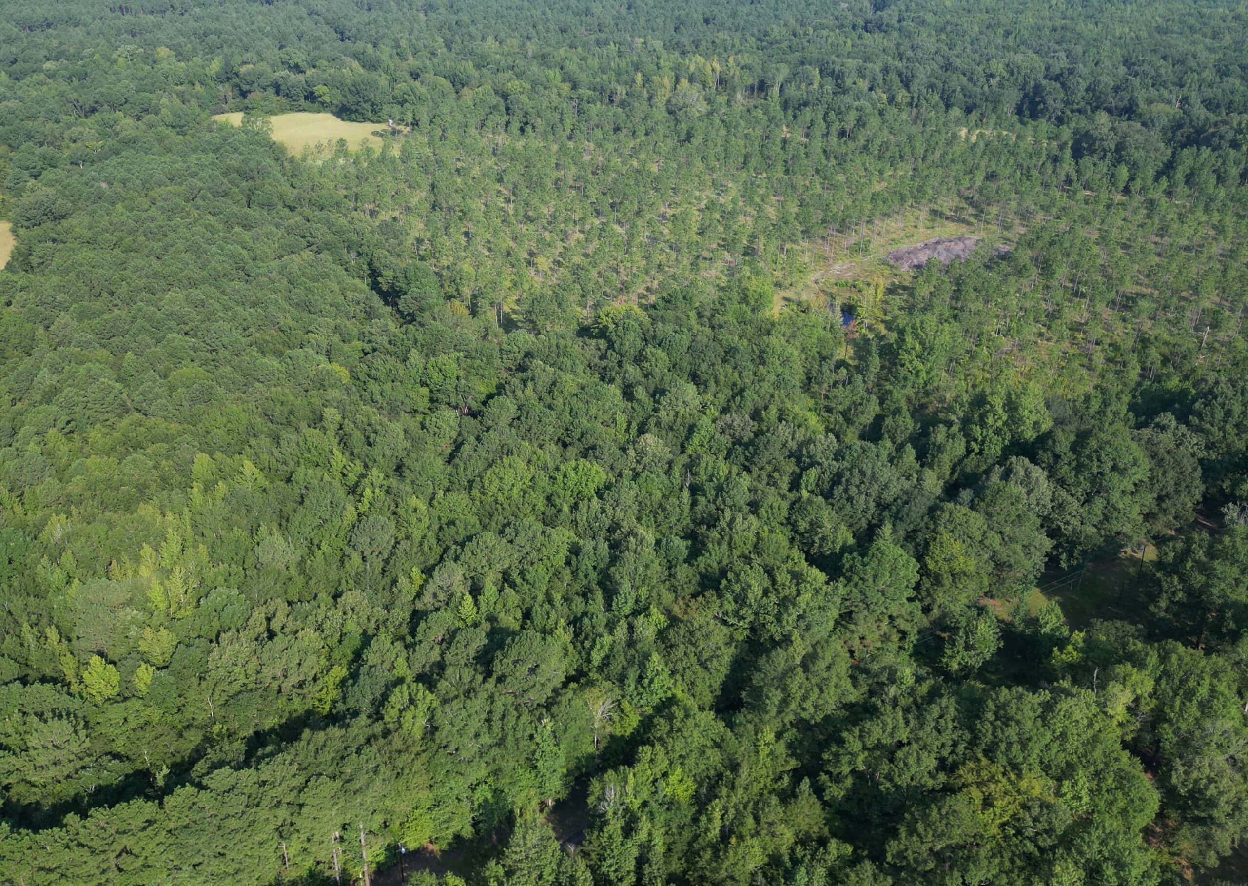 EAST TEXAS TIMBER/HUNTING/RECREATIONAL LAND FOR SALE