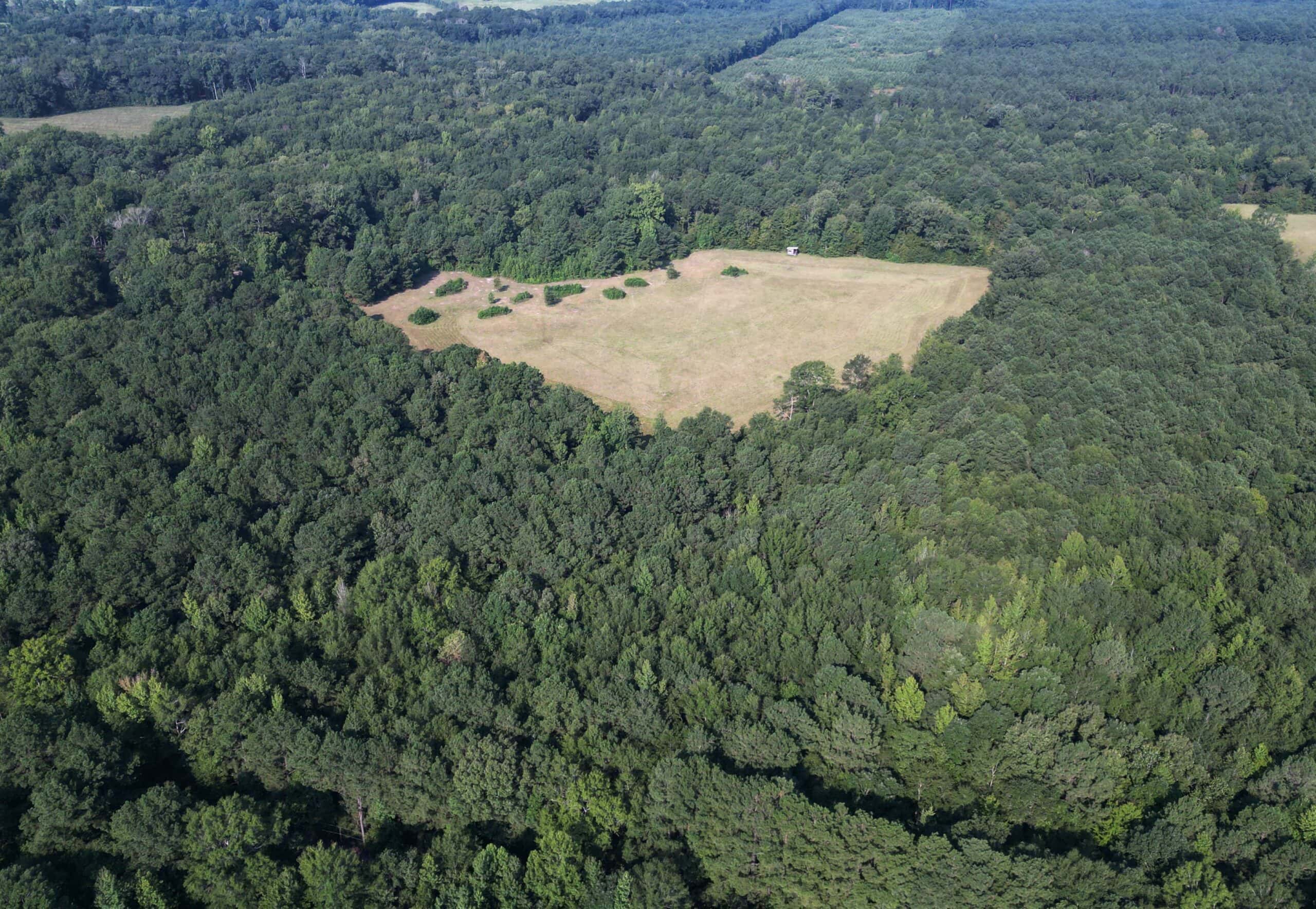 EAST TEXAS TIMBER/HUNTING/RECREATIONAL LAND FOR SALE