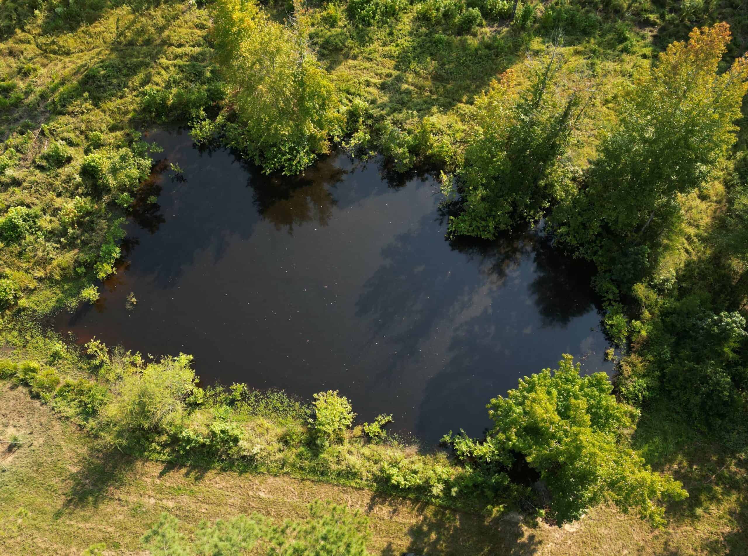 EAST TEXAS TIMBER/HUNTING/RECREATIONAL LAND FOR SALE