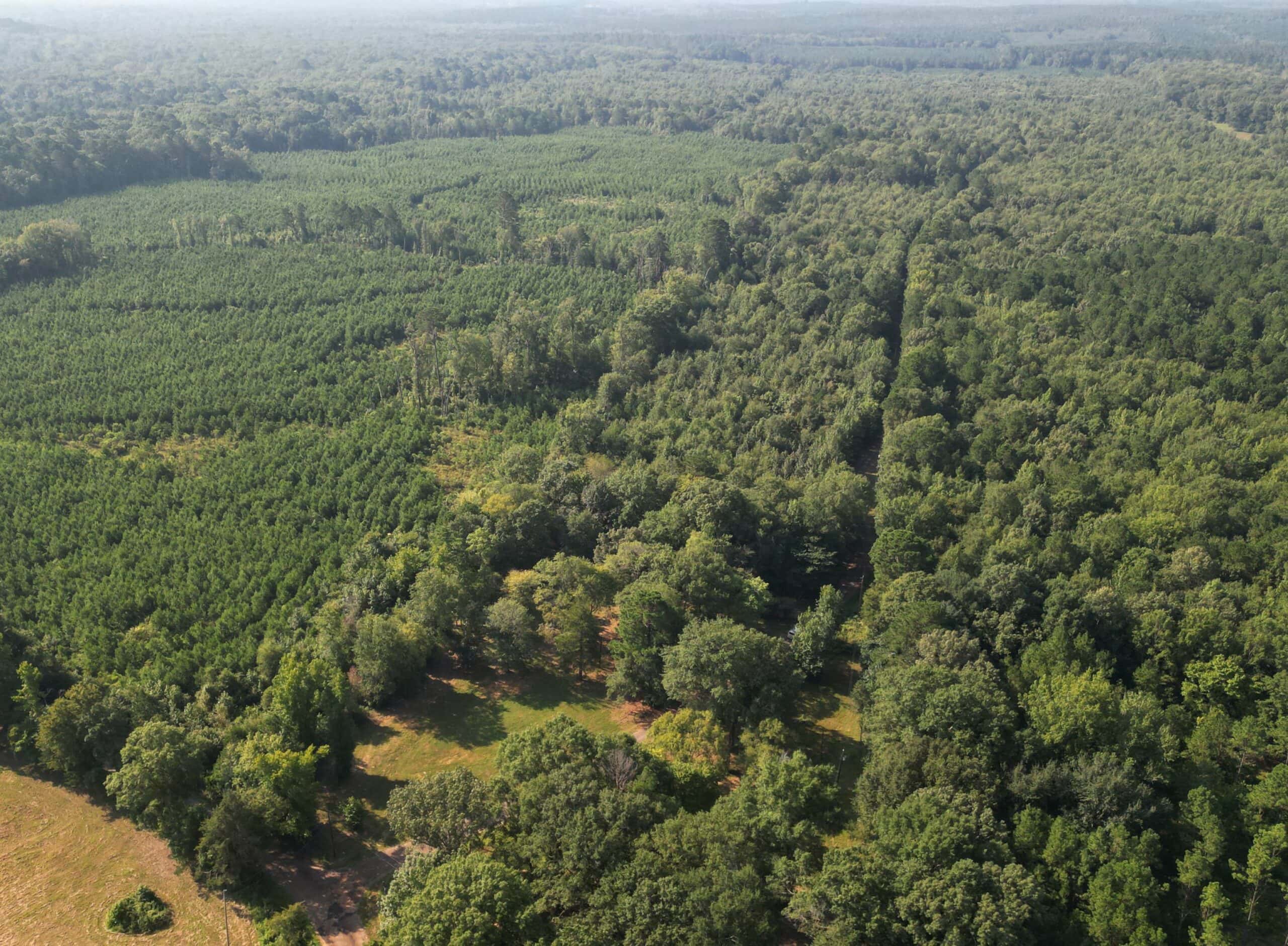 EAST TEXAS TIMBER/HUNTING/RECREATIONAL LAND FOR SALE