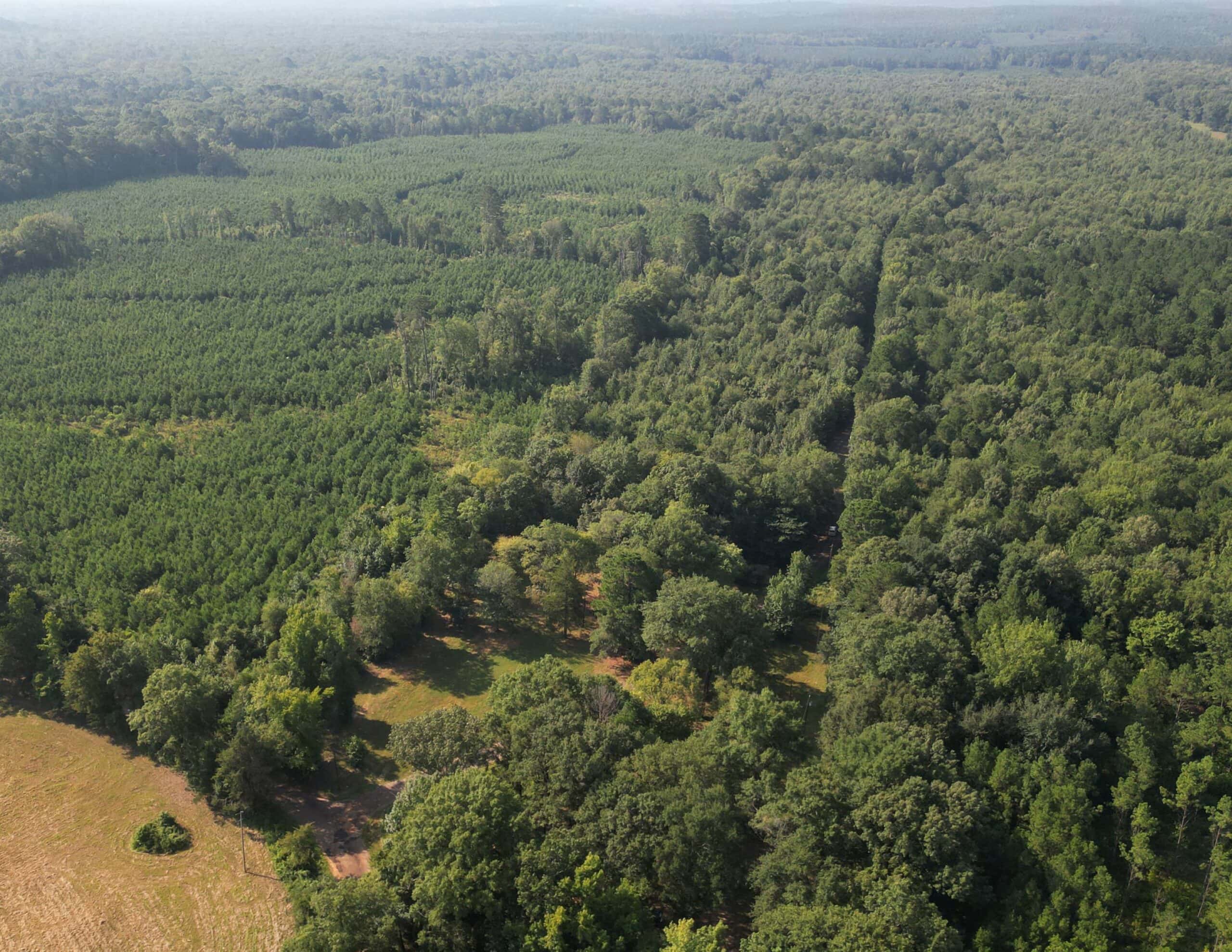EAST TEXAS TIMBER/HUNTING/RECREATIONAL LAND FOR SALE