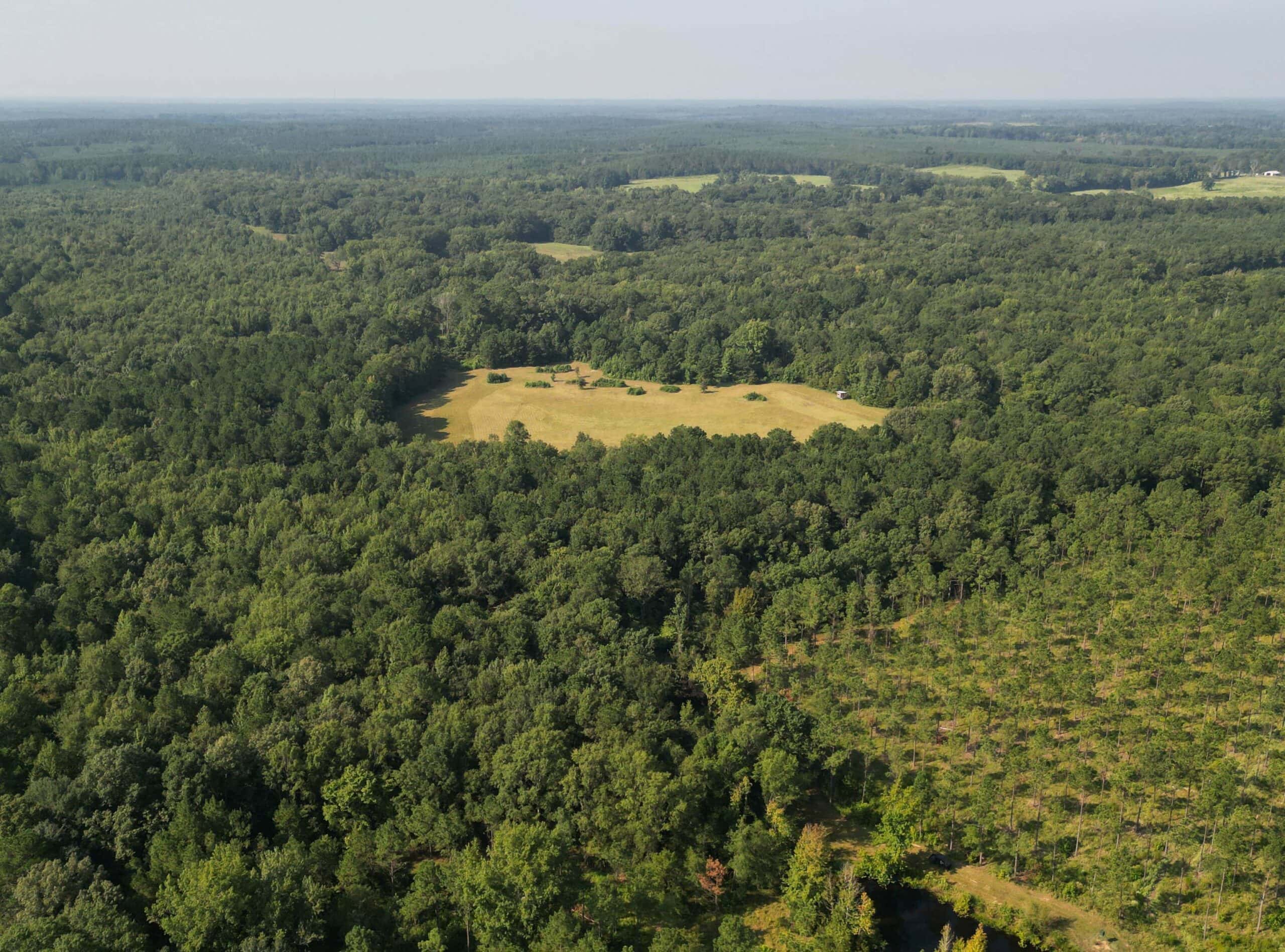 EAST TEXAS TIMBER/HUNTING/RECREATIONAL LAND FOR SALE