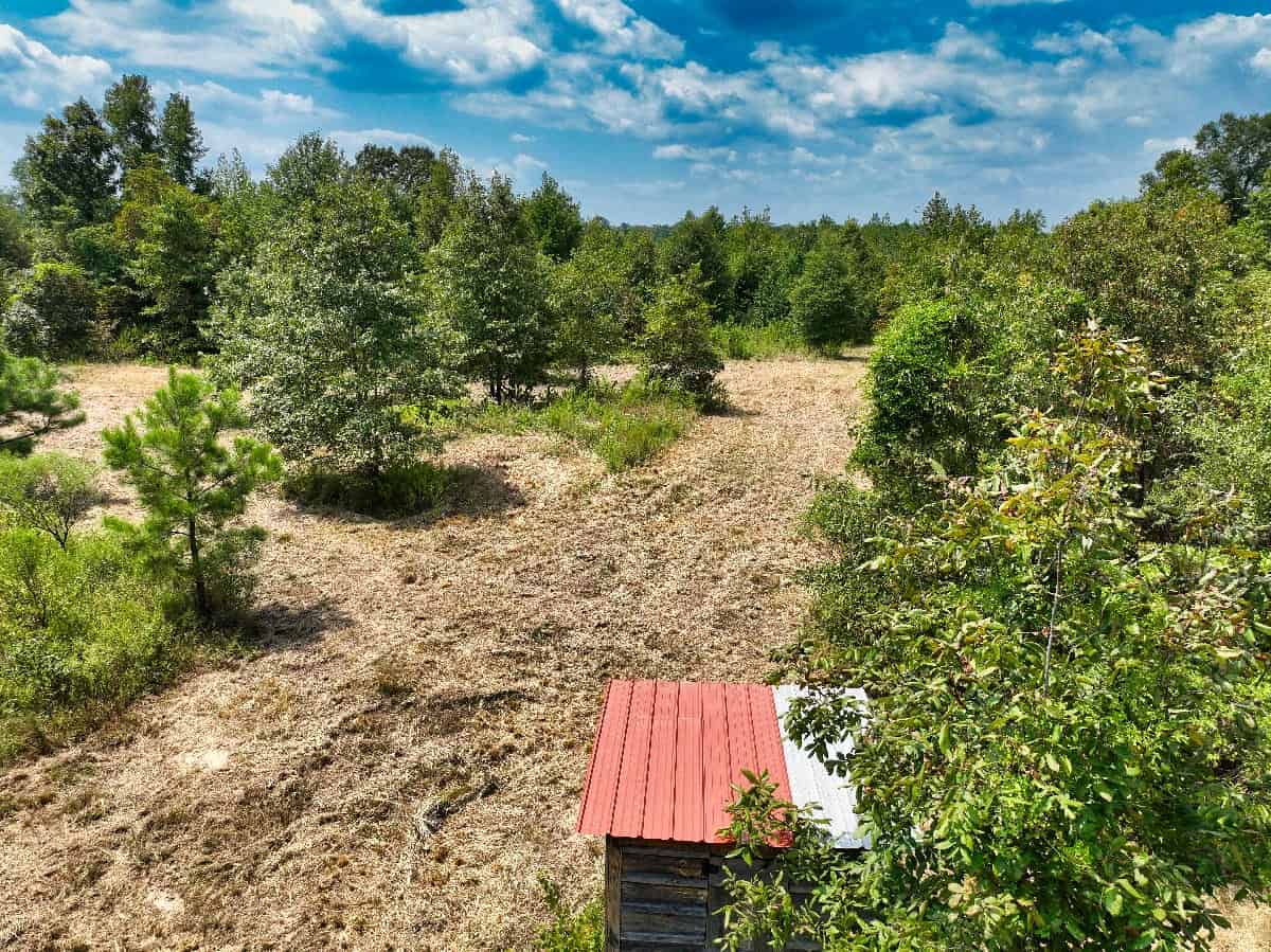 McCurtain County Oklahoma Hunting Property