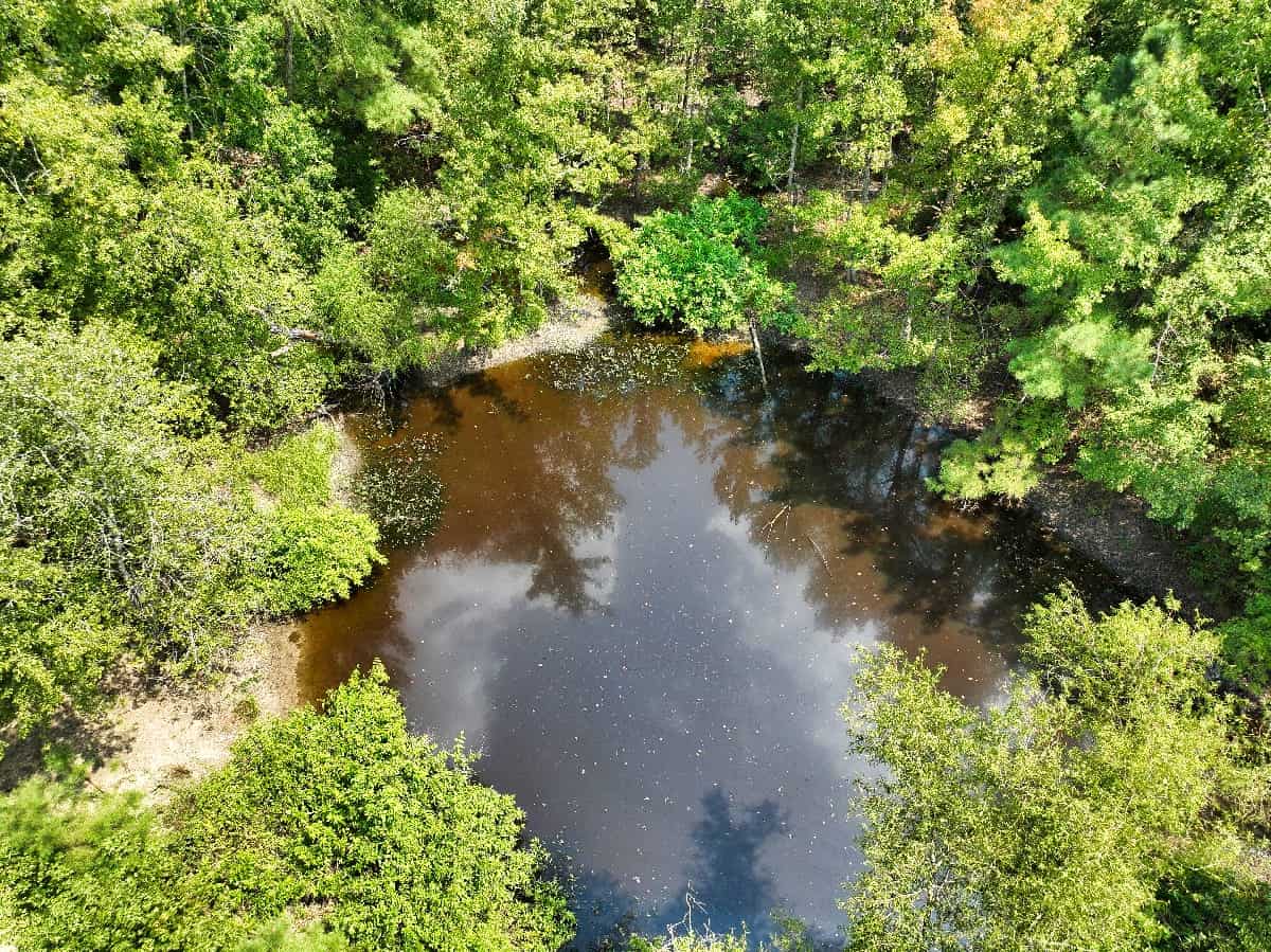 McCurtain County Oklahoma Hunting Property