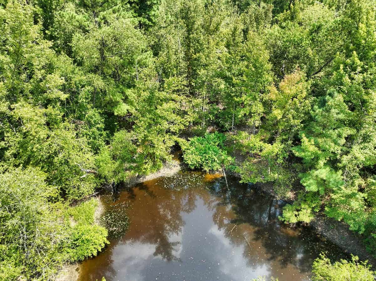 McCurtain County Oklahoma Hunting Property