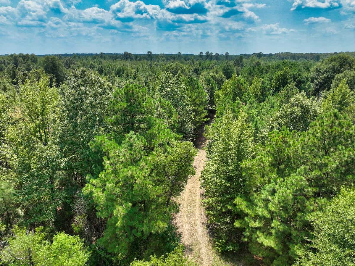 McCurtain County Oklahoma Hunting Property
