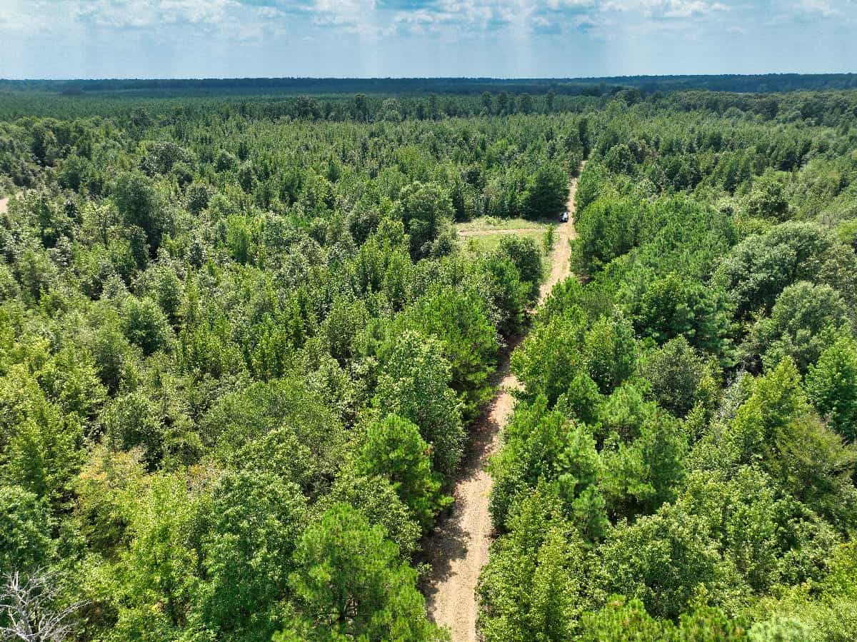 McCurtain County Oklahoma Hunting Property