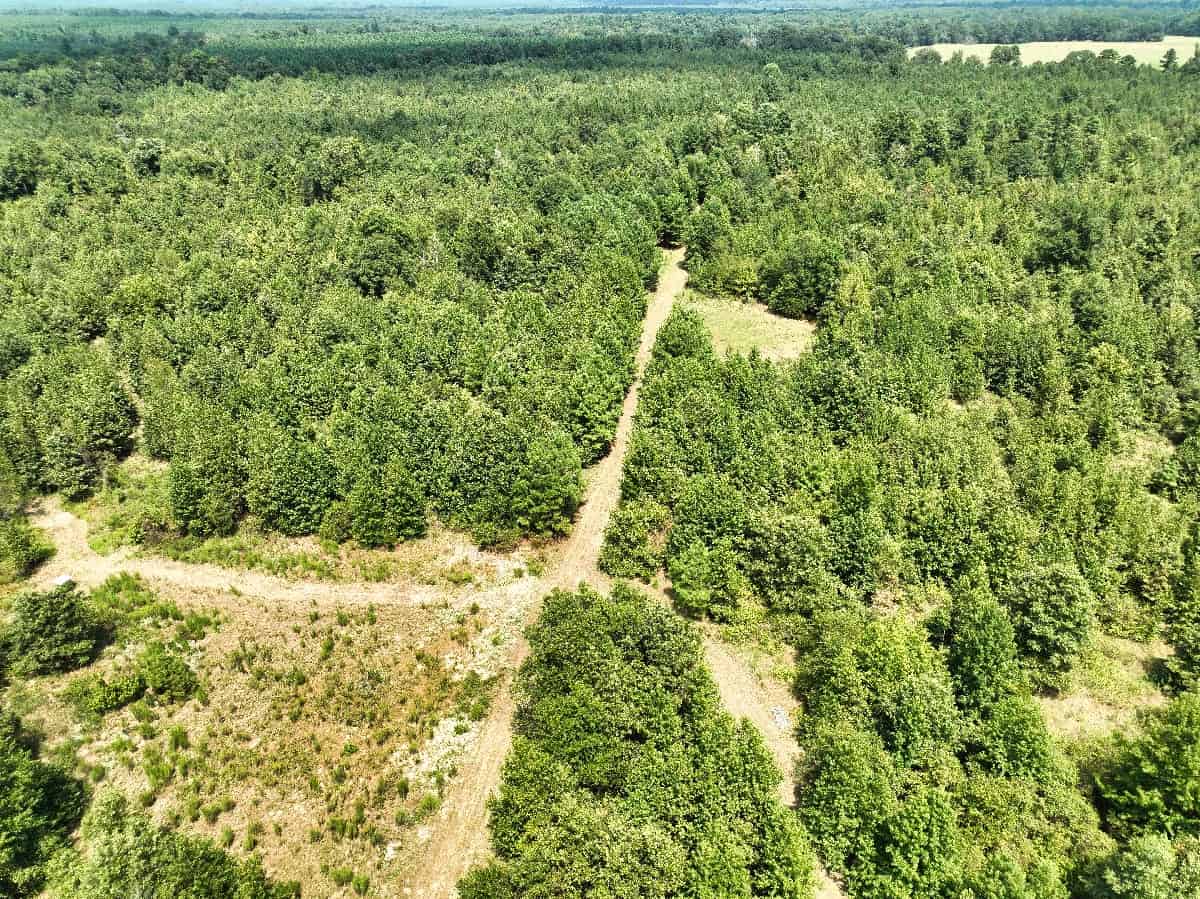 McCurtain County Oklahoma Hunting Property