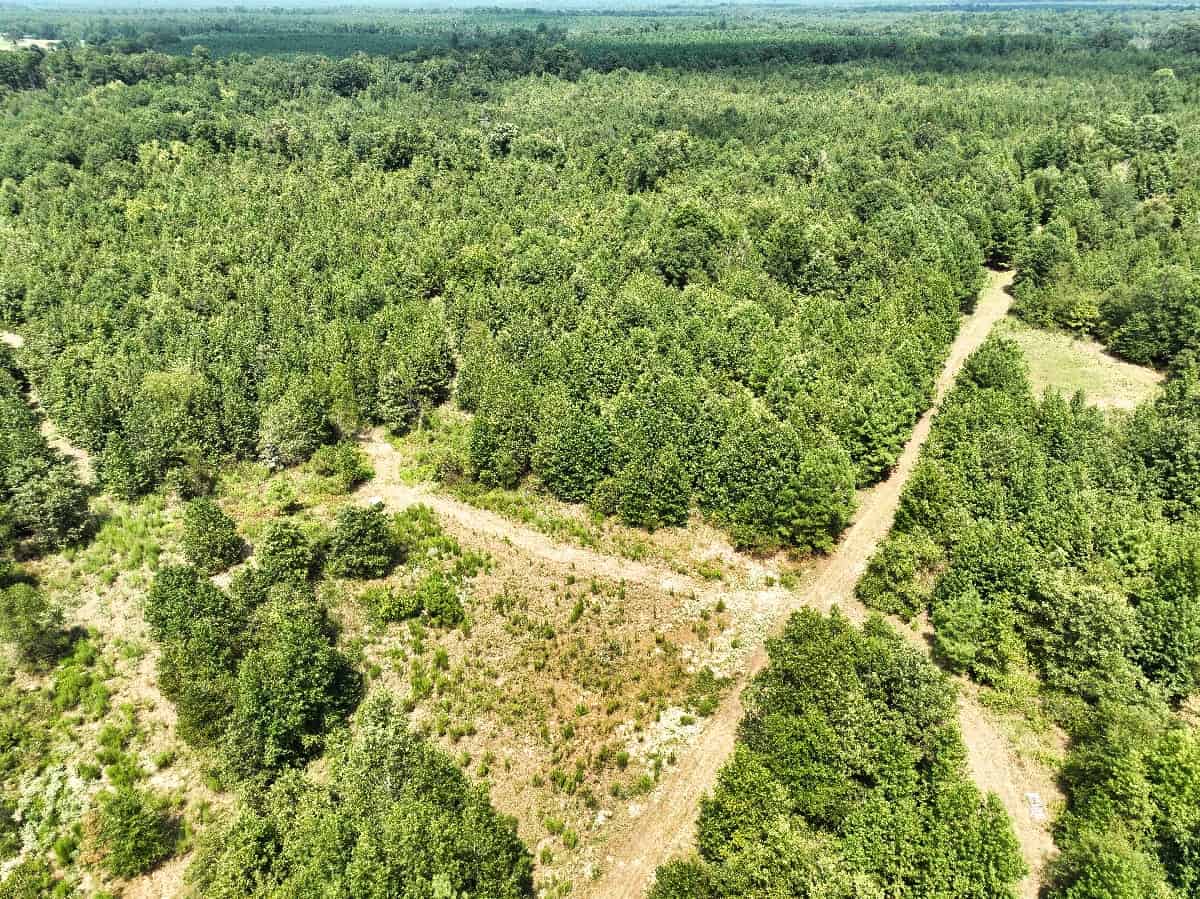 McCurtain County Oklahoma Hunting Property