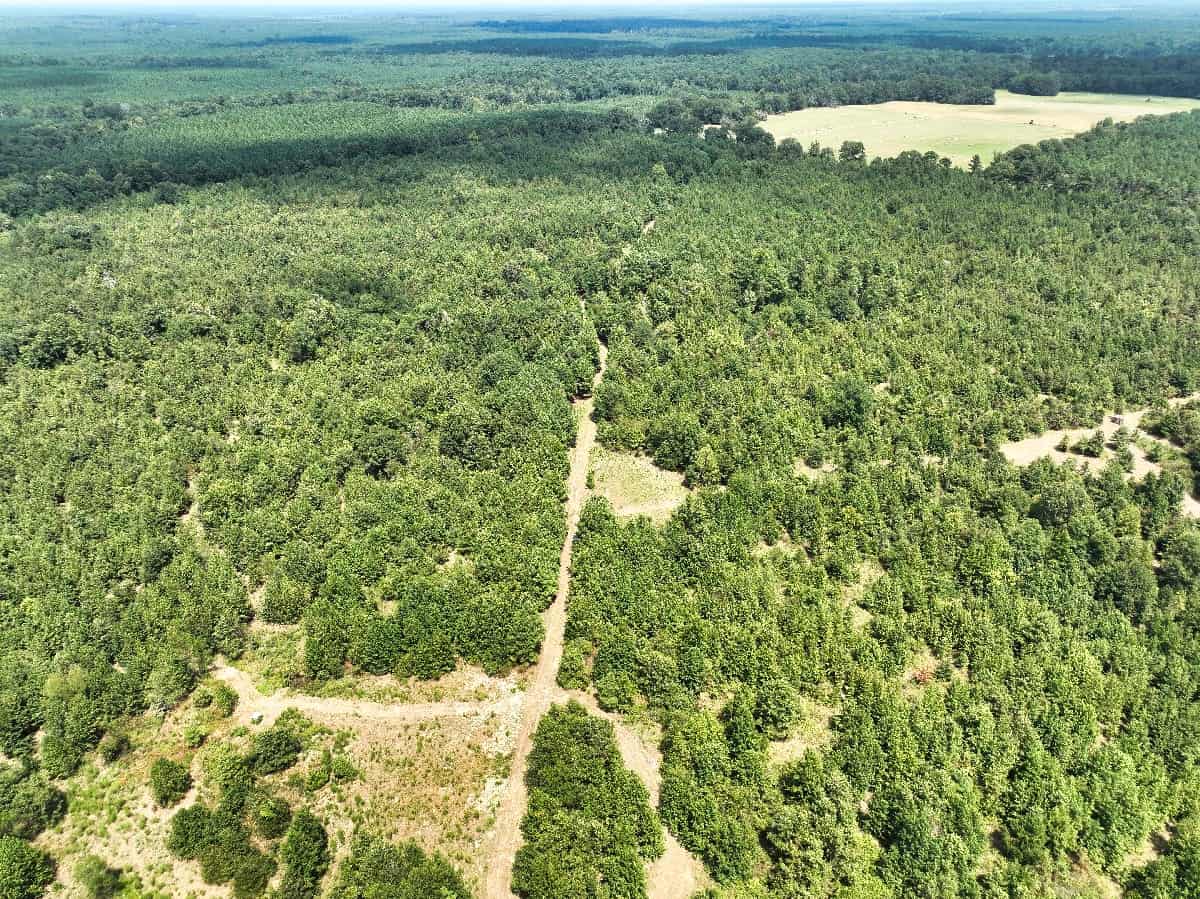 McCurtain County Oklahoma Hunting Property