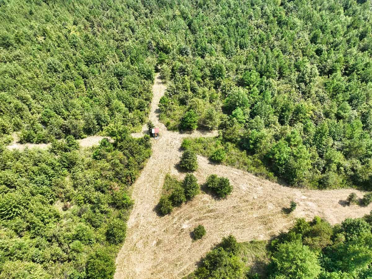 McCurtain County Oklahoma Hunting Property