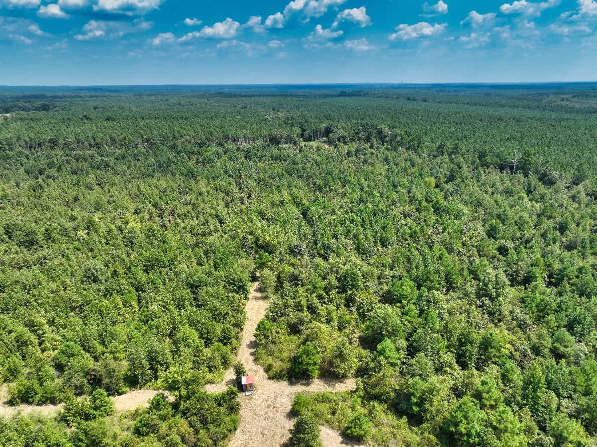 McCurtain County Oklahoma Hunting Property