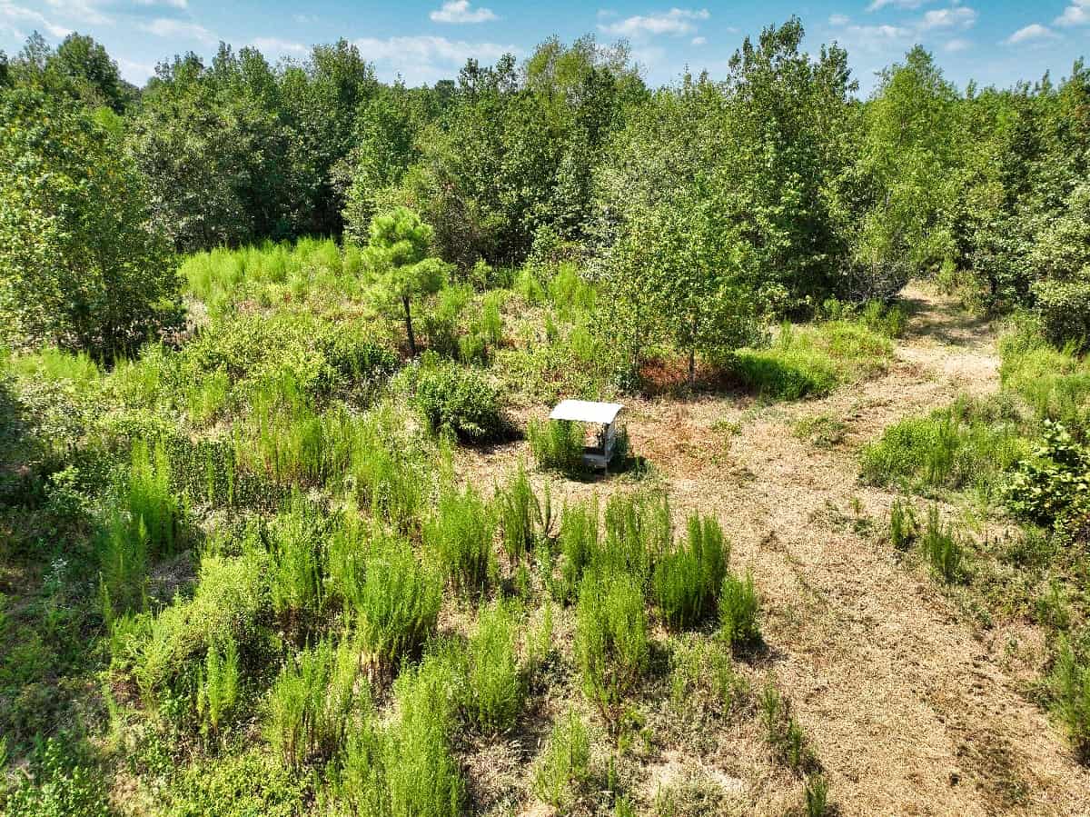 McCurtain County Oklahoma Hunting Property