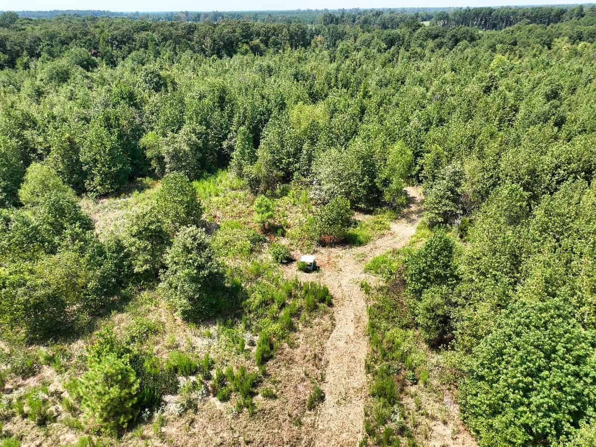 McCurtain County Oklahoma Hunting Property