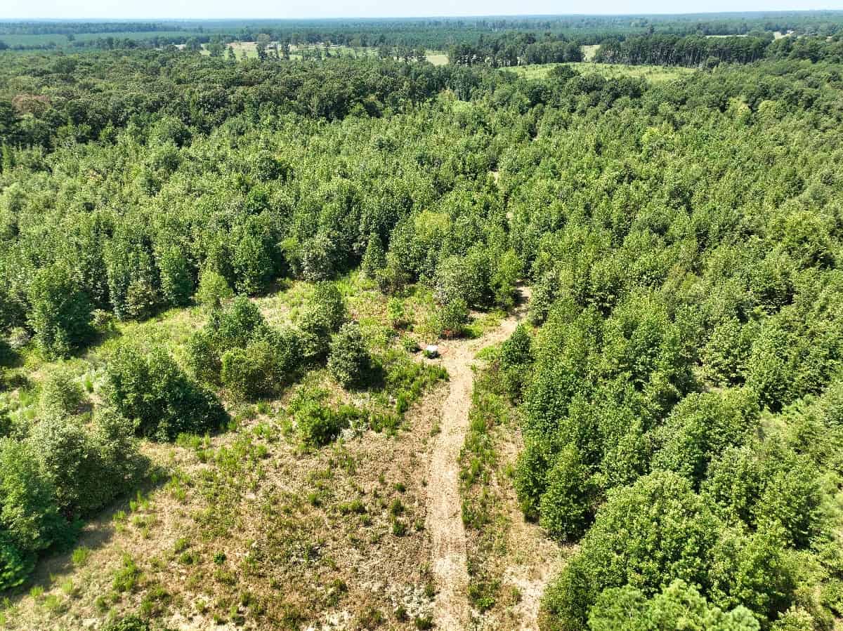 McCurtain County Oklahoma Hunting Property