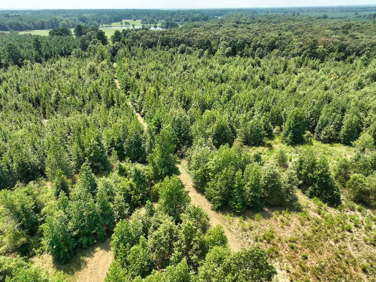 McCurtain County Oklahoma Hunting Property
