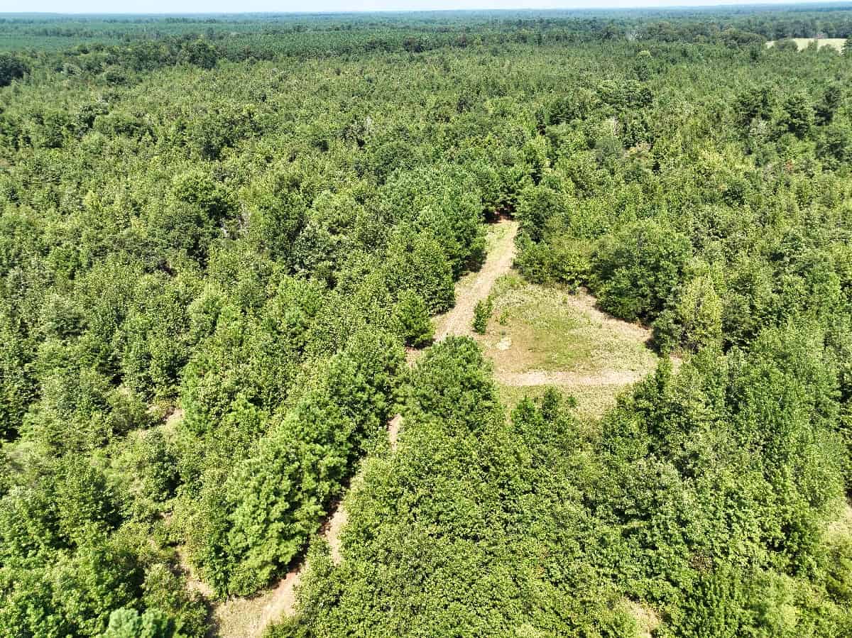McCurtain County Oklahoma Hunting Property