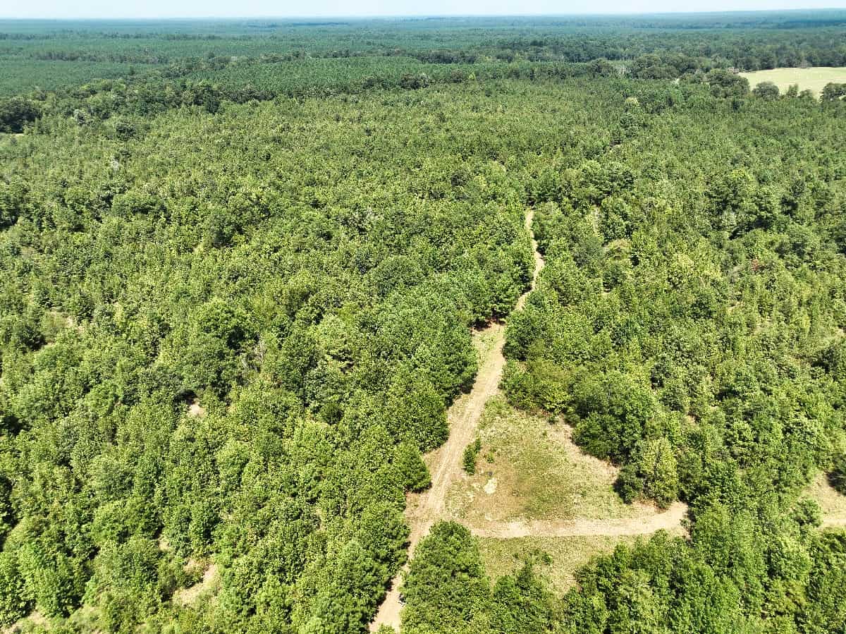 McCurtain County Oklahoma Hunting Property