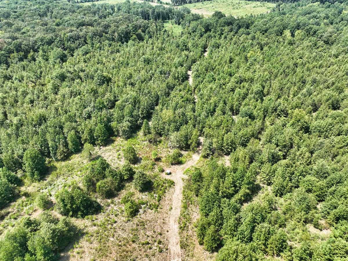 McCurtain County Oklahoma Hunting Property