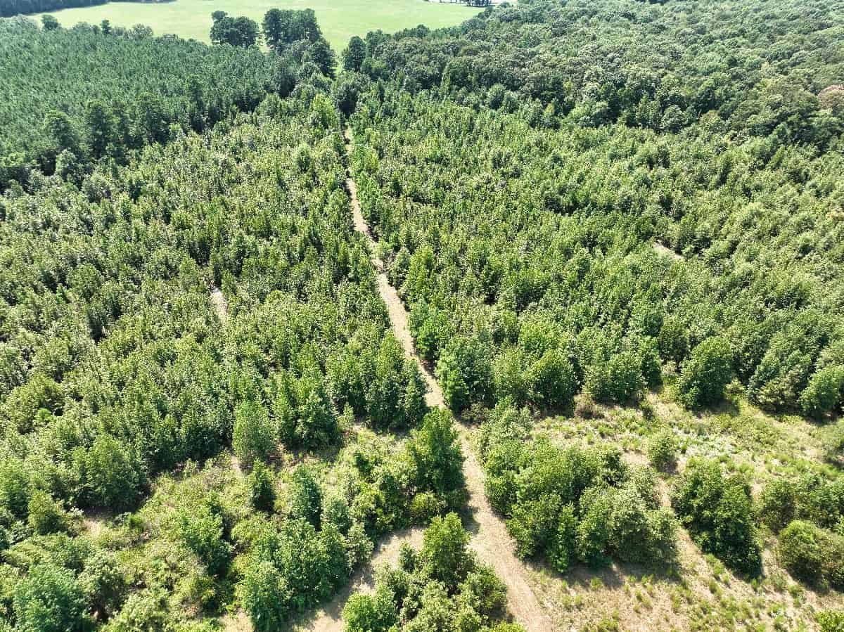 McCurtain County Oklahoma Hunting Property
