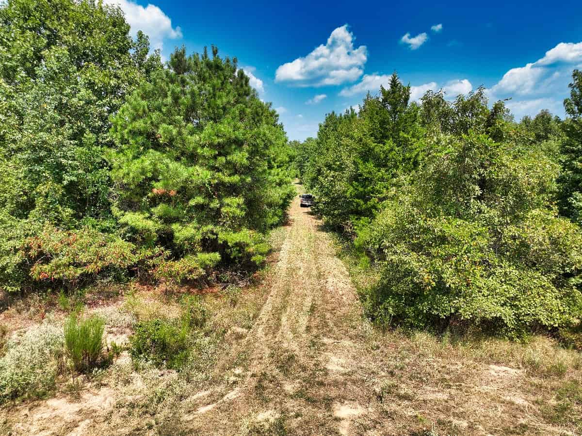 McCurtain County Oklahoma Hunting Property