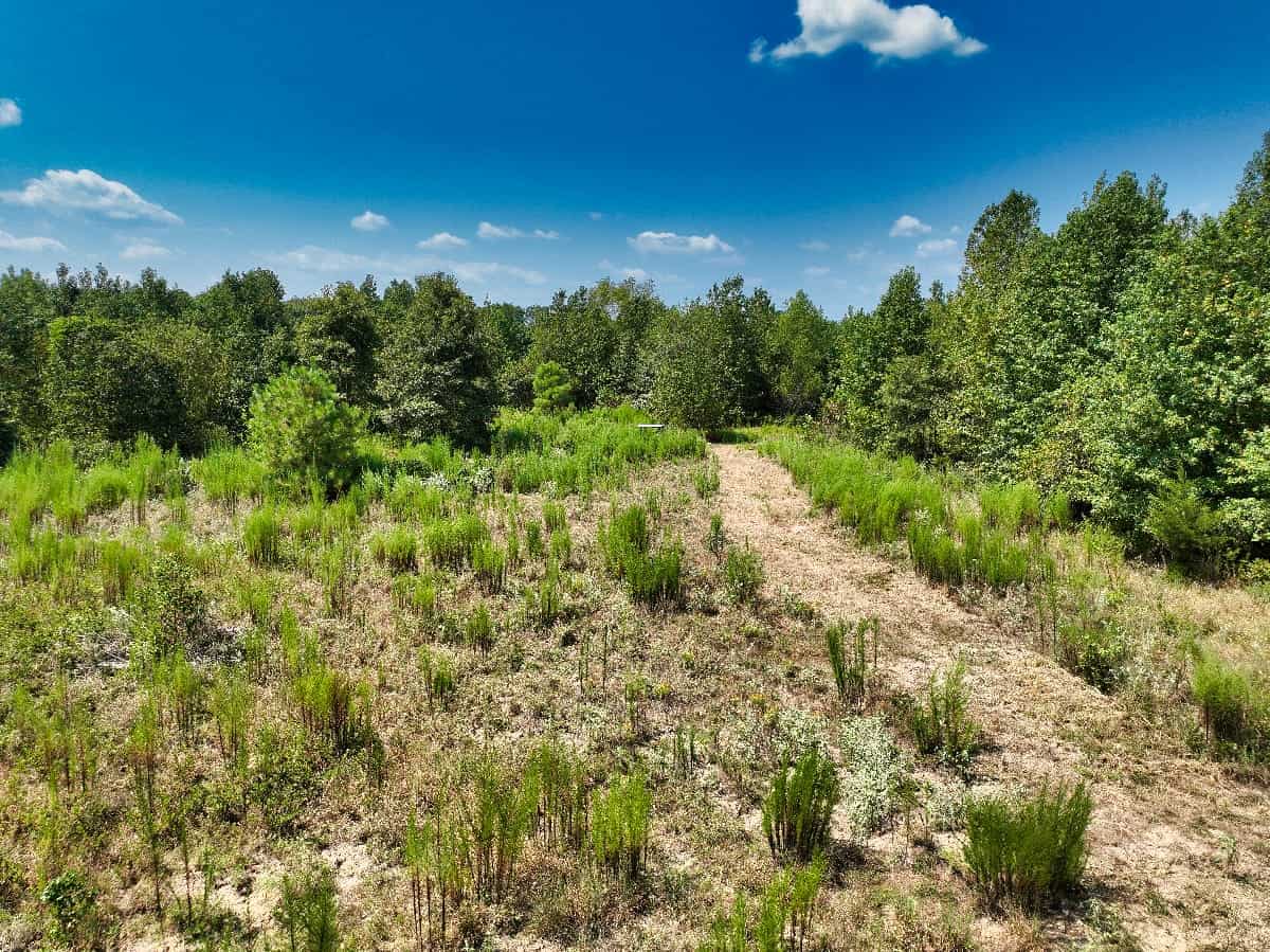 McCurtain County Oklahoma Hunting Property