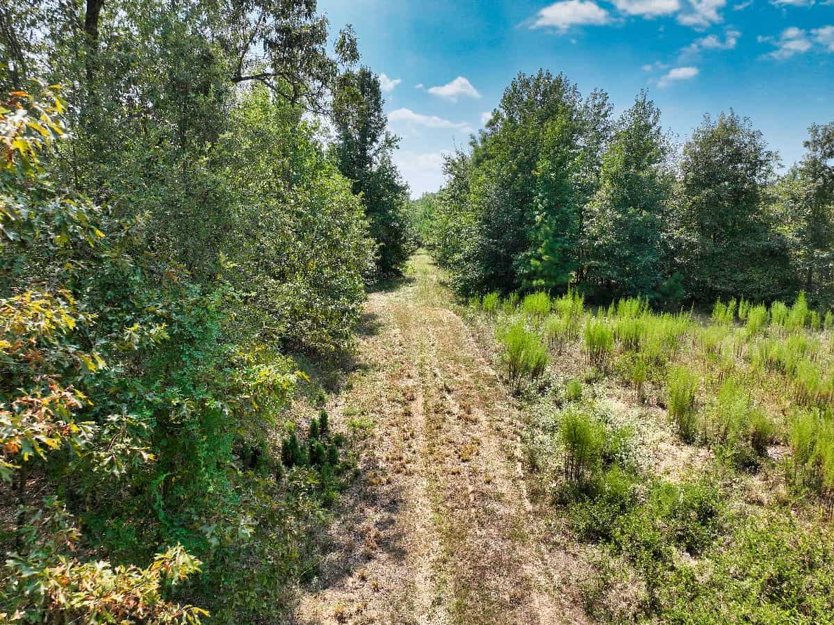 McCurtain County Oklahoma Hunting Property