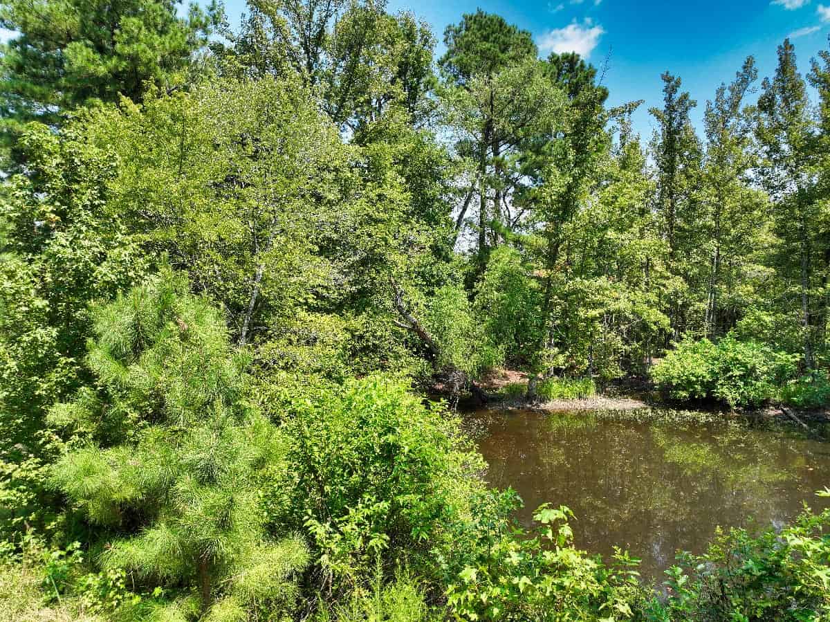 McCurtain County Oklahoma Hunting Property