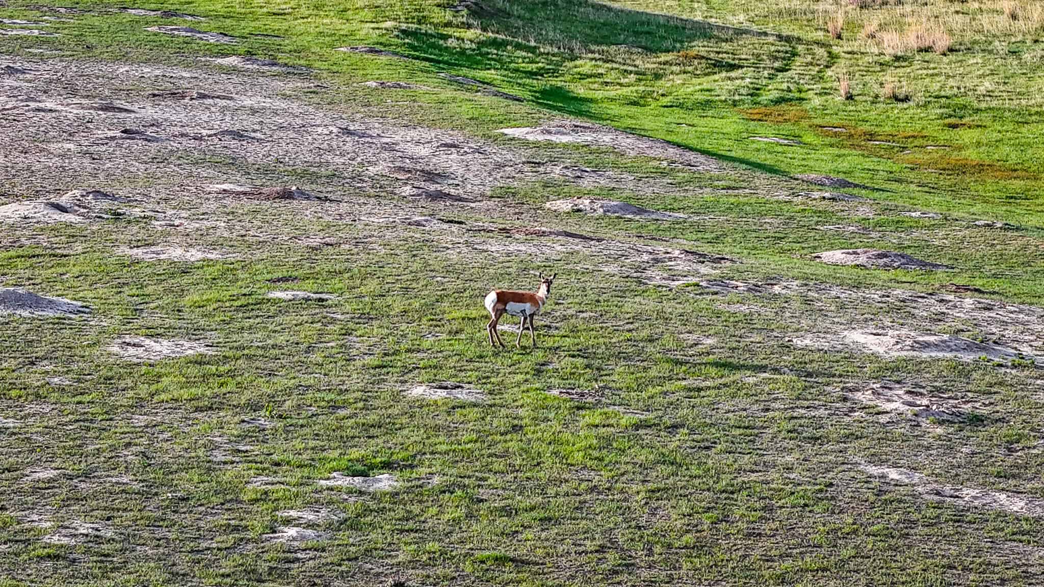 HILLMAN RANCH: A PREMIER ELK HUNTING AND LEGACY RANCH IN MT