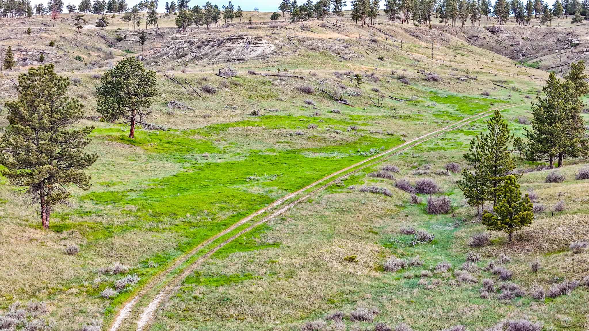 HILLMAN RANCH: A PREMIER ELK HUNTING AND LEGACY RANCH IN MT