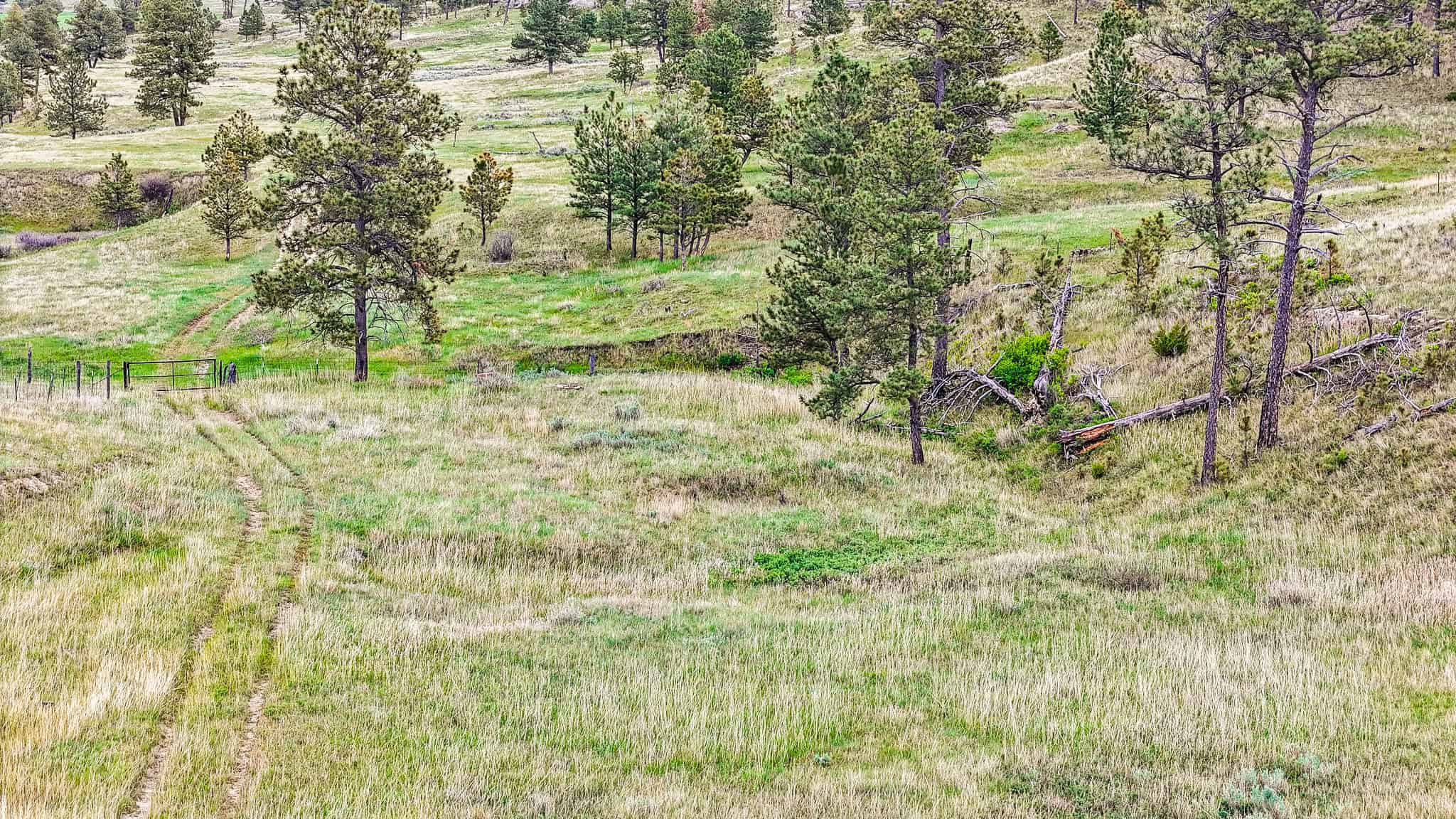 HILLMAN RANCH: A PREMIER ELK HUNTING AND LEGACY RANCH IN MT