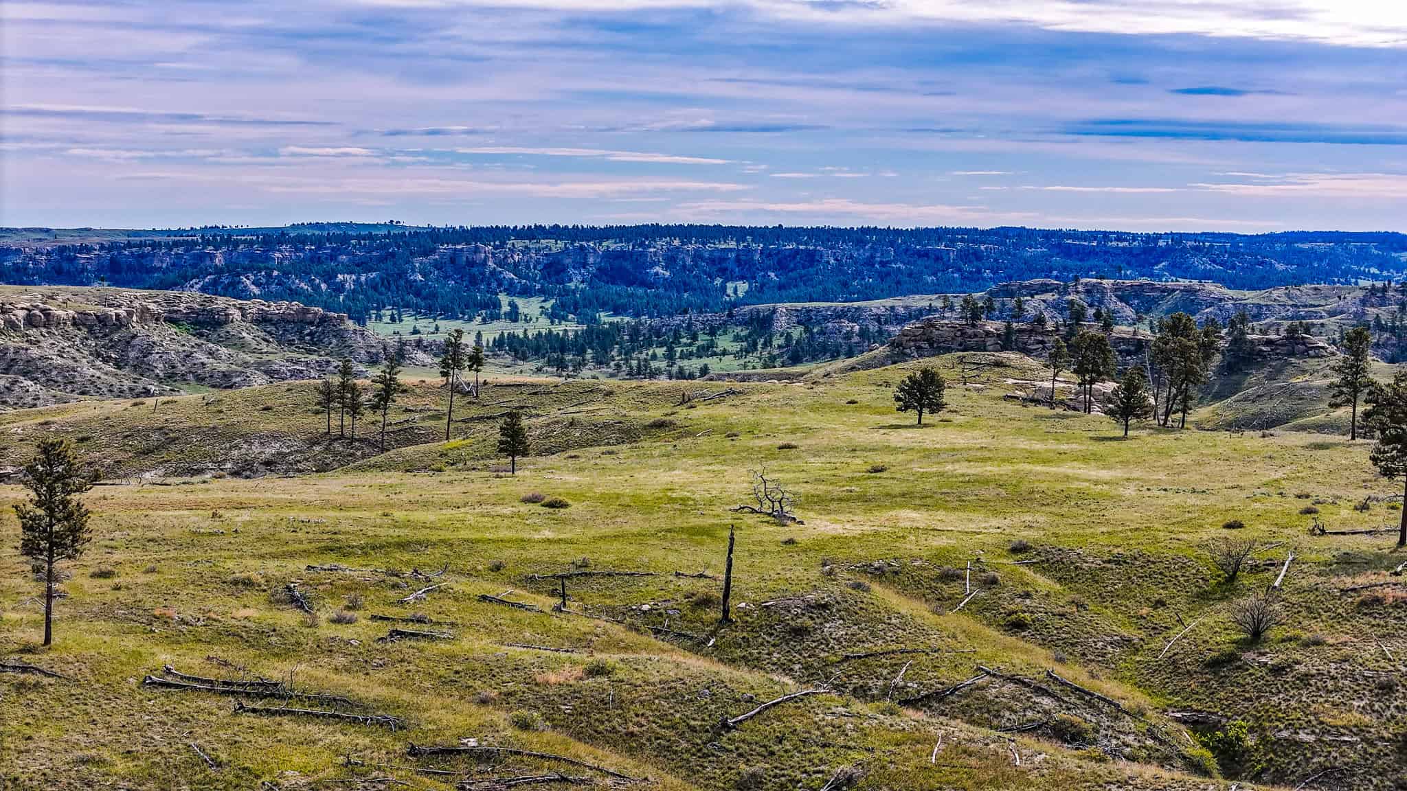 HILLMAN RANCH: A PREMIER ELK HUNTING AND LEGACY RANCH IN MT