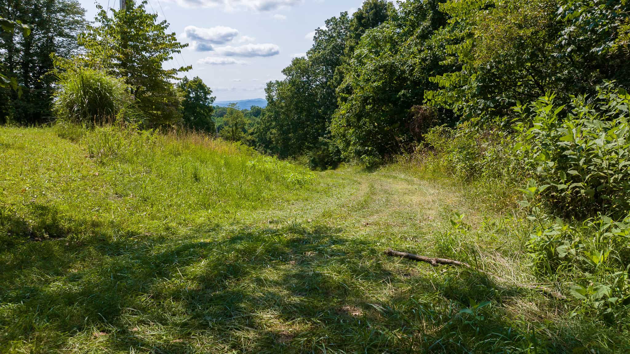 East Tennessee Hunting Property for Sale- 687 Big Springs Road Eidson TN 37731