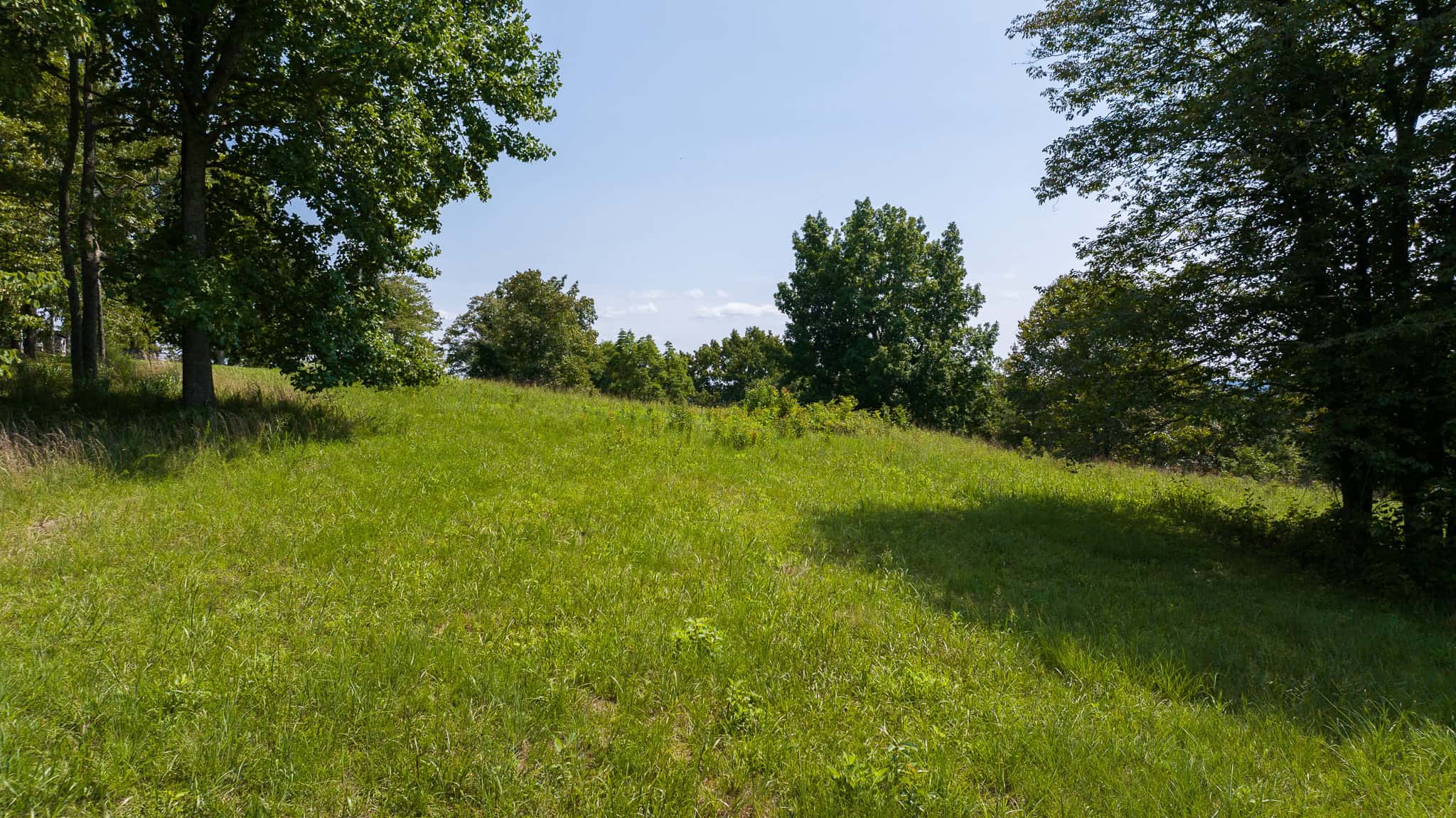 East Tennessee Hunting Property for Sale- 687 Big Springs Road Eidson TN 37731