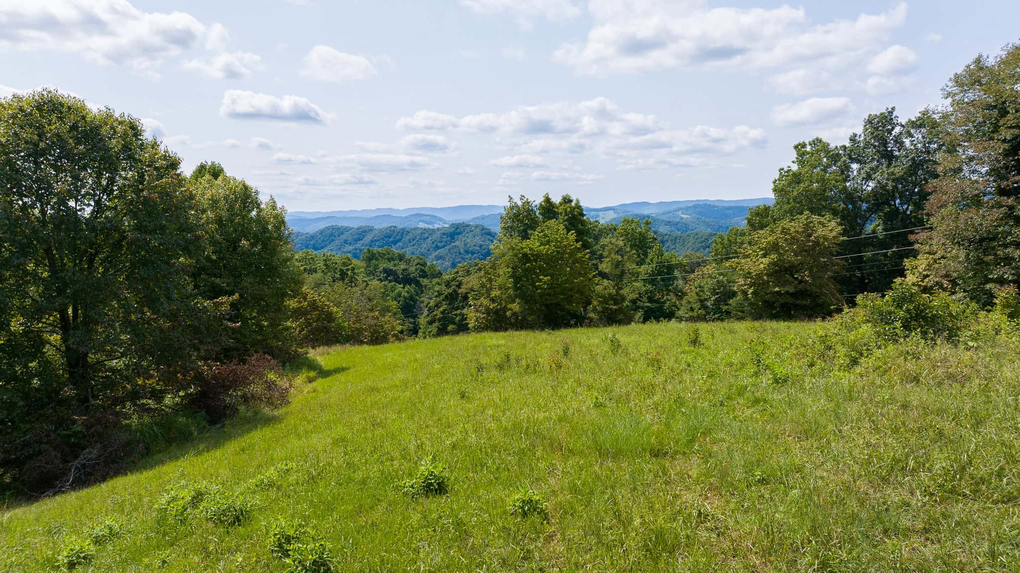 East Tennessee Hunting Property for Sale- 687 Big Springs Road Eidson TN 37731
