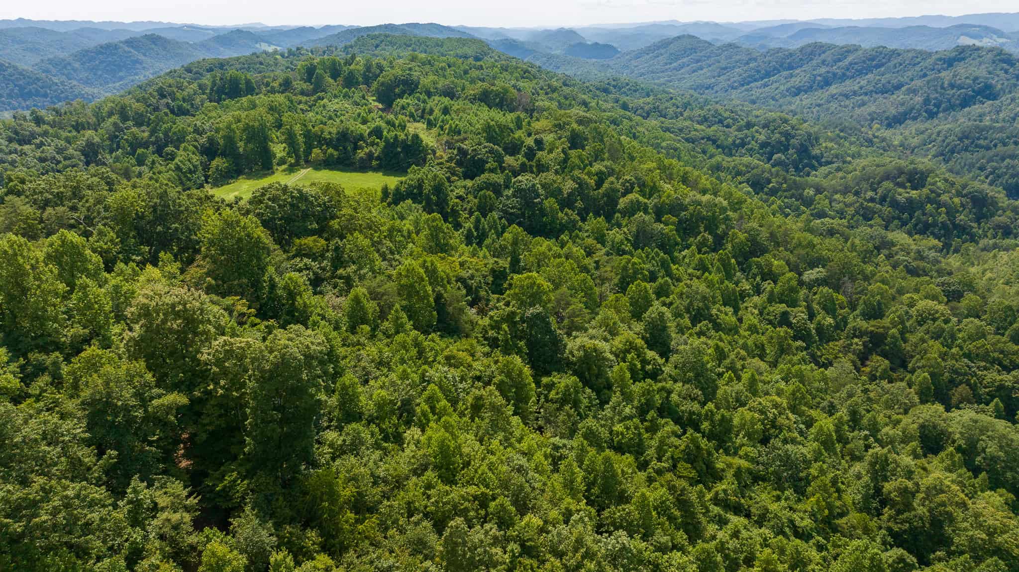 East Tennessee Hunting Property for Sale- 687 Big Springs Road Eidson TN 37731