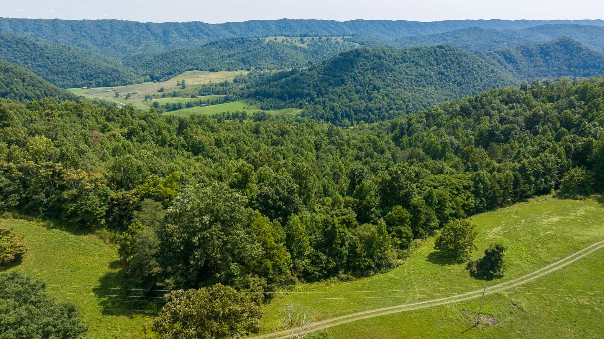 East Tennessee Hunting Property for Sale- 687 Big Springs Road Eidson TN 37731