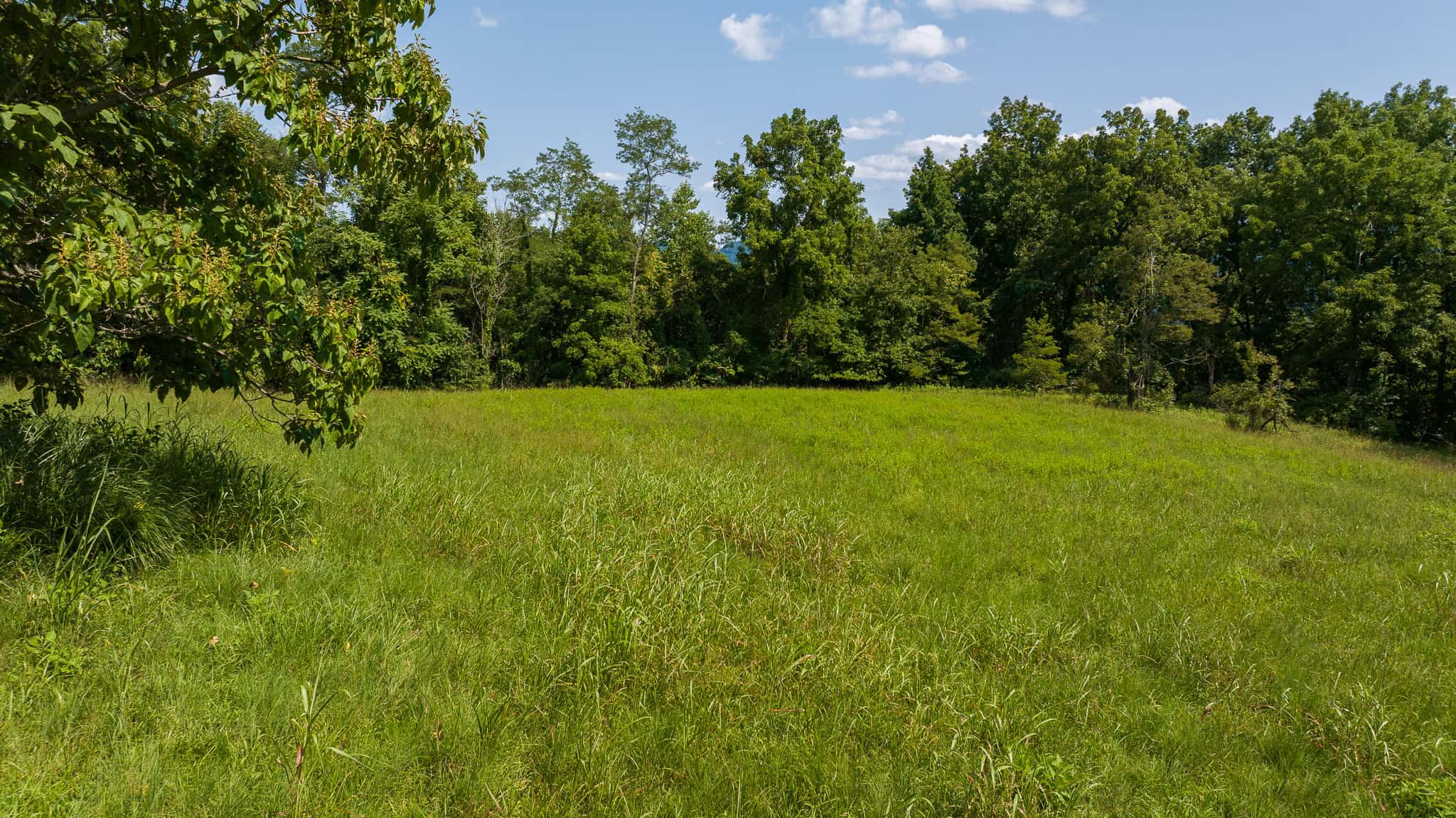 East Tennessee Hunting Property for Sale- 687 Big Springs Road Eidson TN 37731