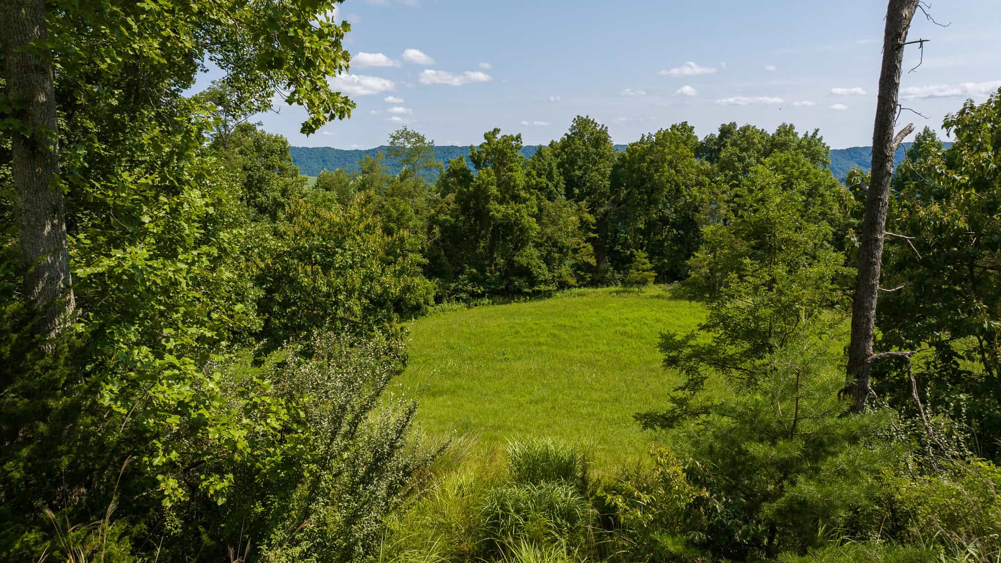 East Tennessee Hunting Property for Sale- 687 Big Springs Road Eidson TN 37731