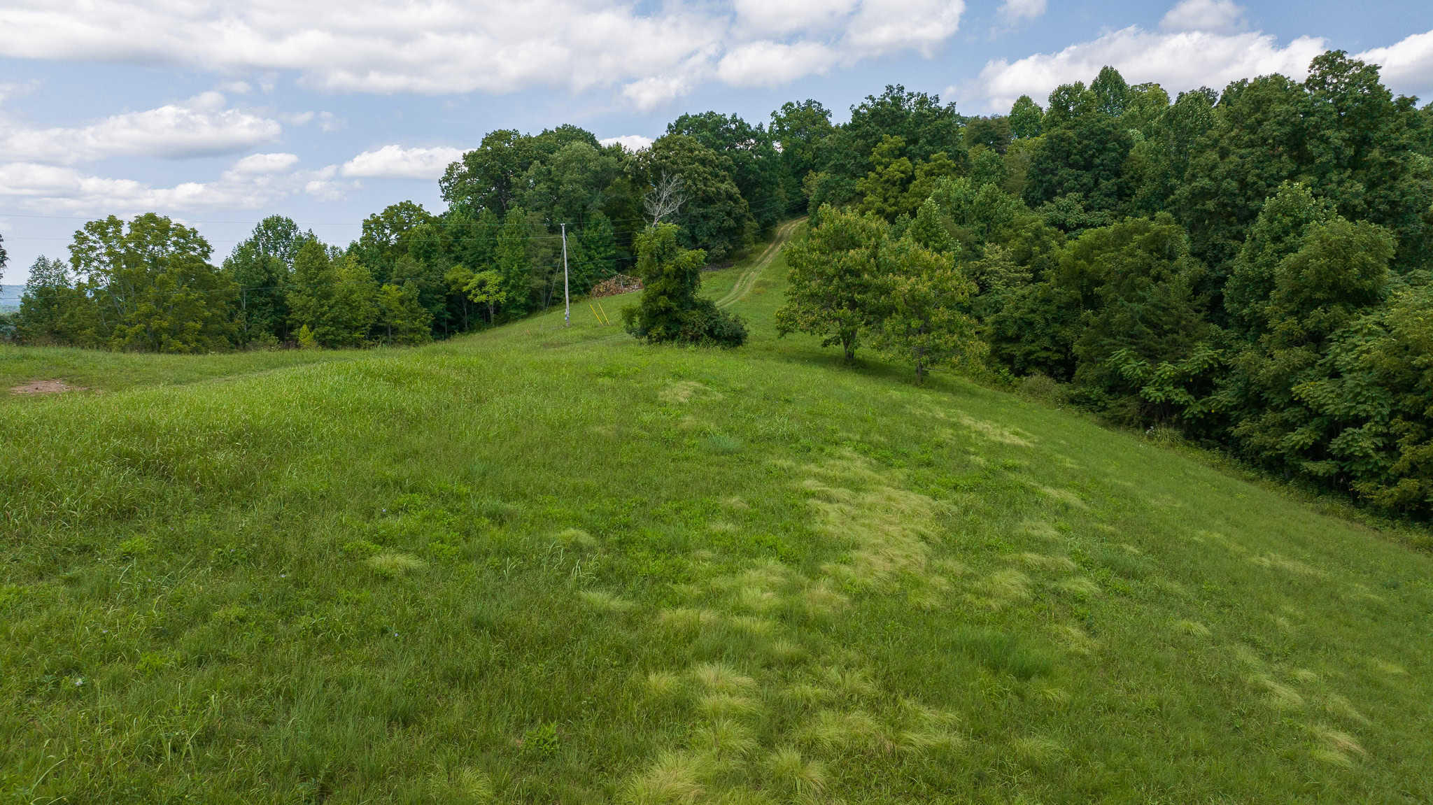 East Tennessee Hunting Property for Sale- 687 Big Springs Road Eidson TN 37731